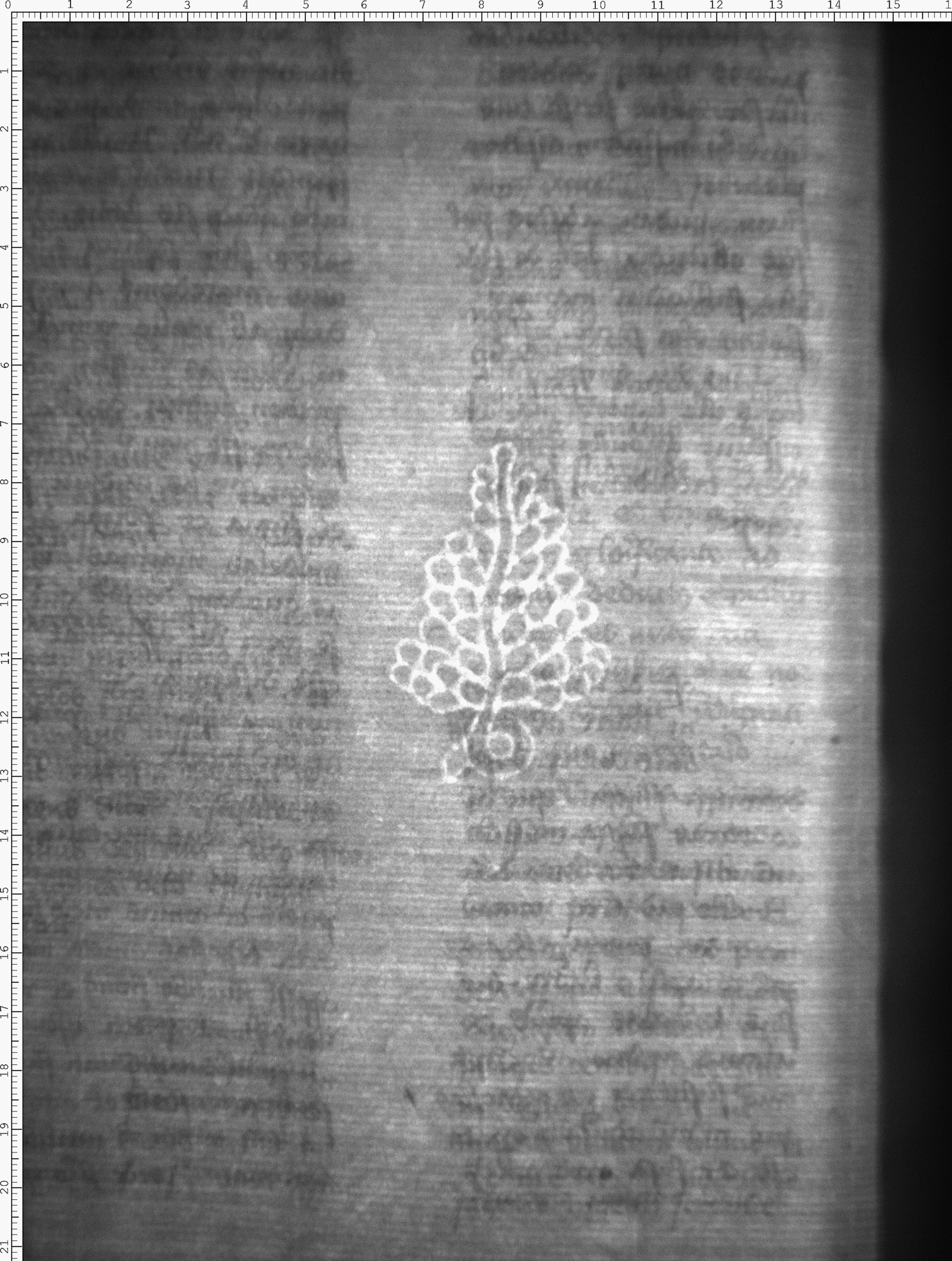 Watermark