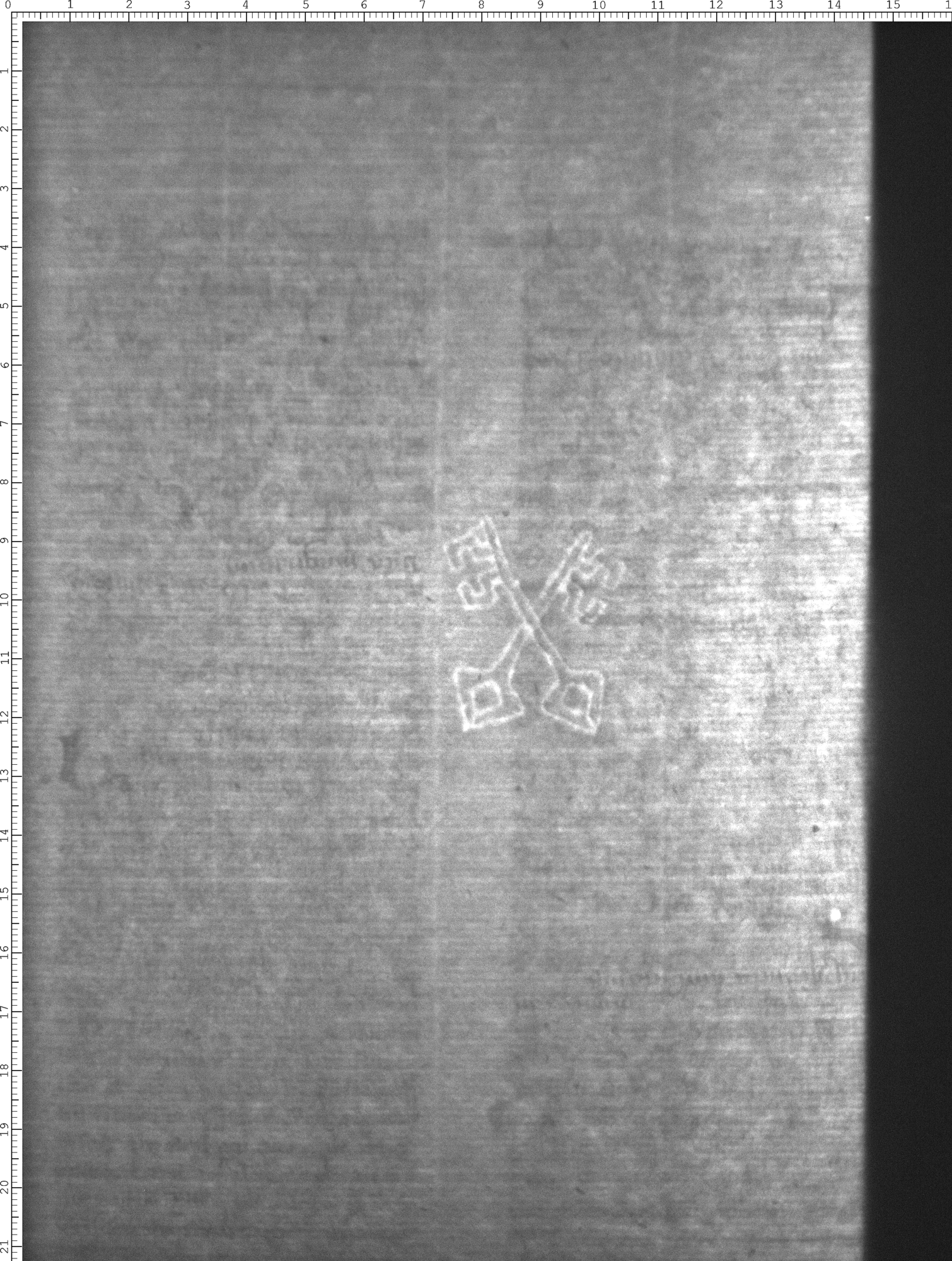 Watermark