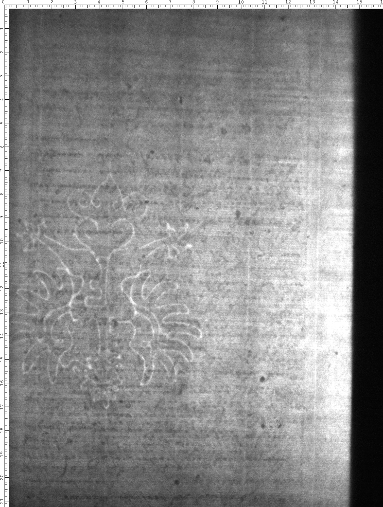 Watermark