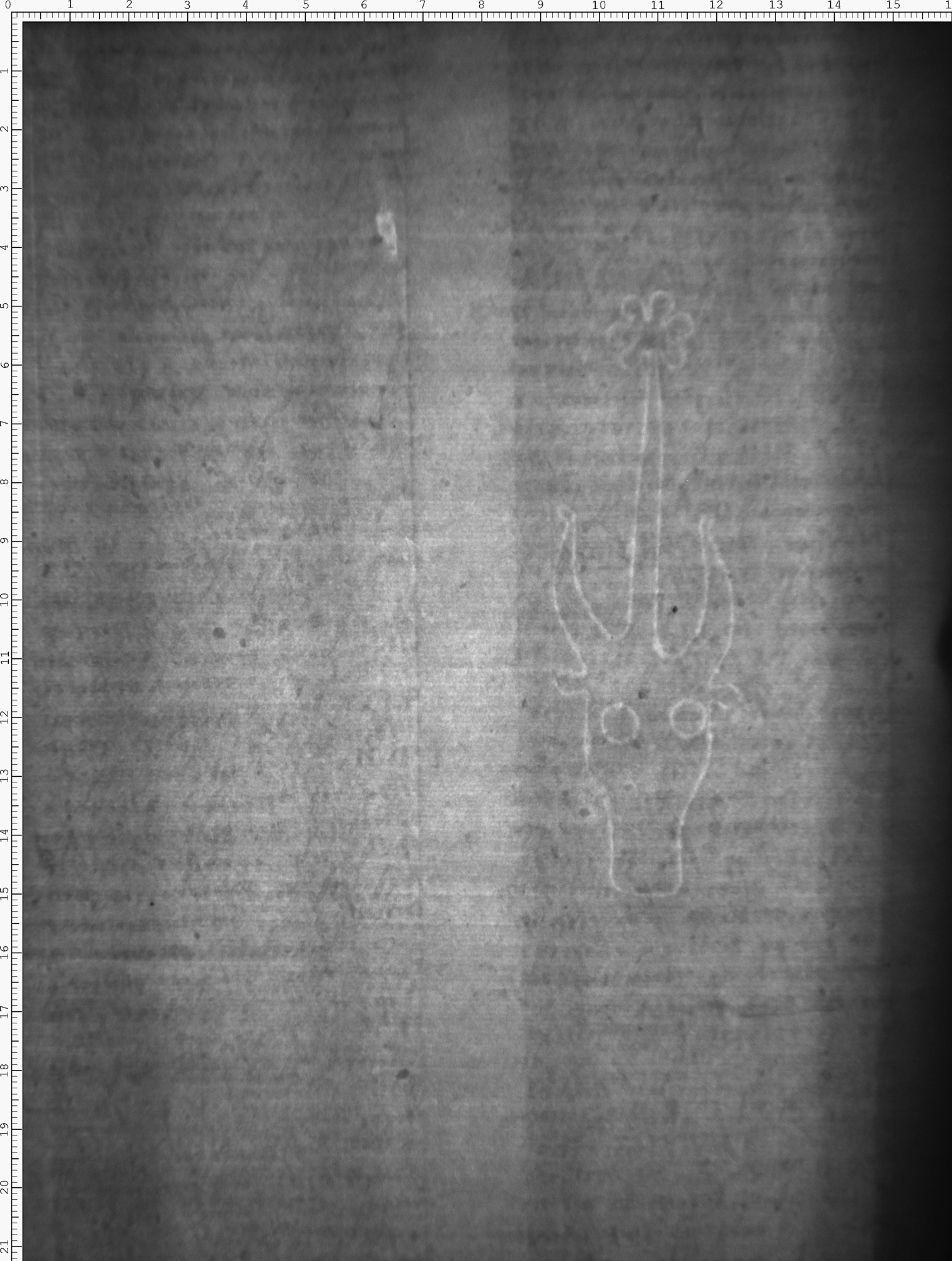 Watermark
