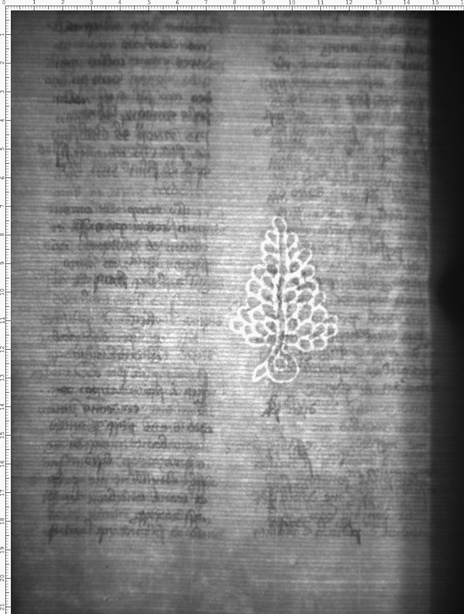 Watermark