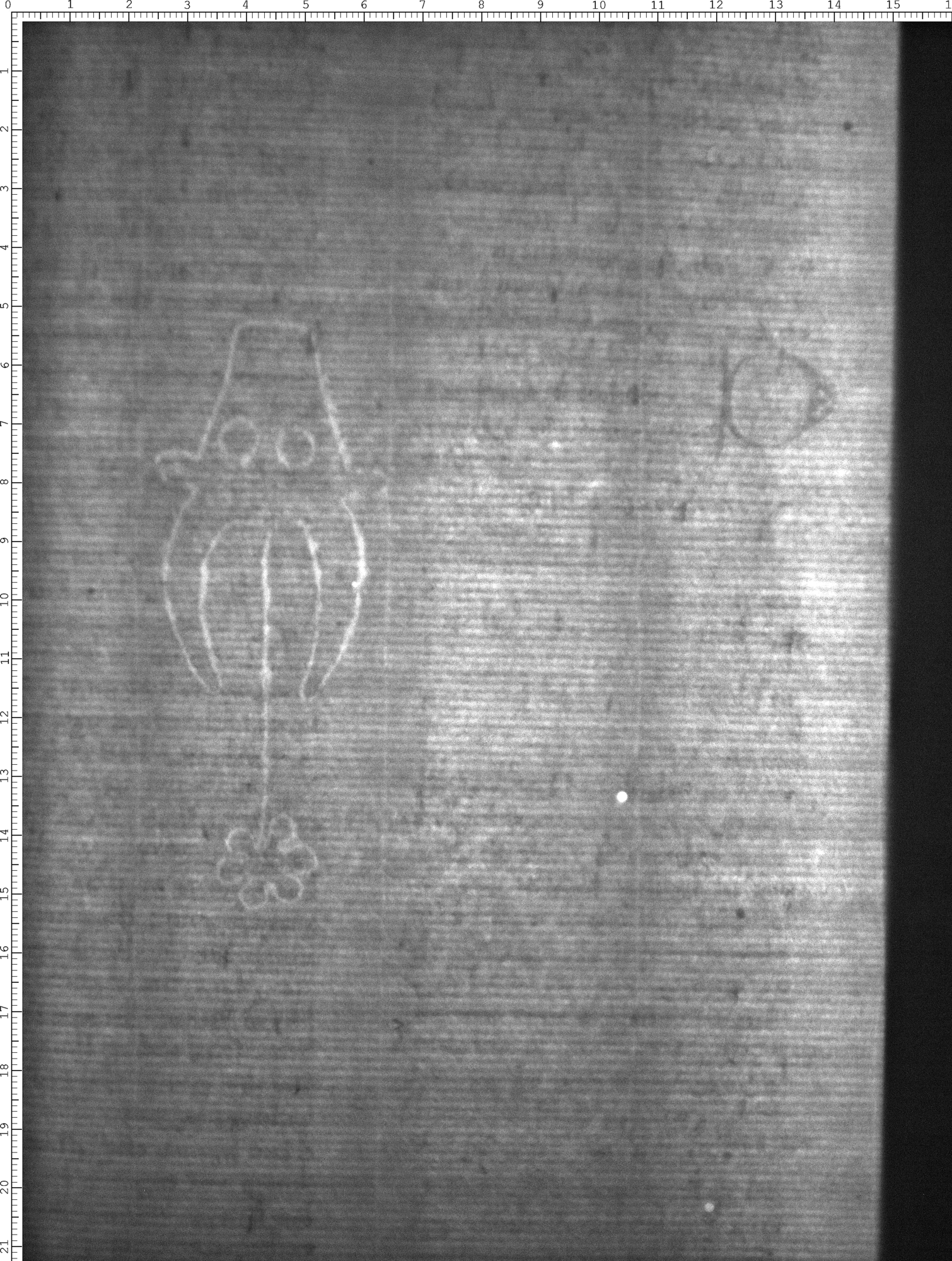 Watermark