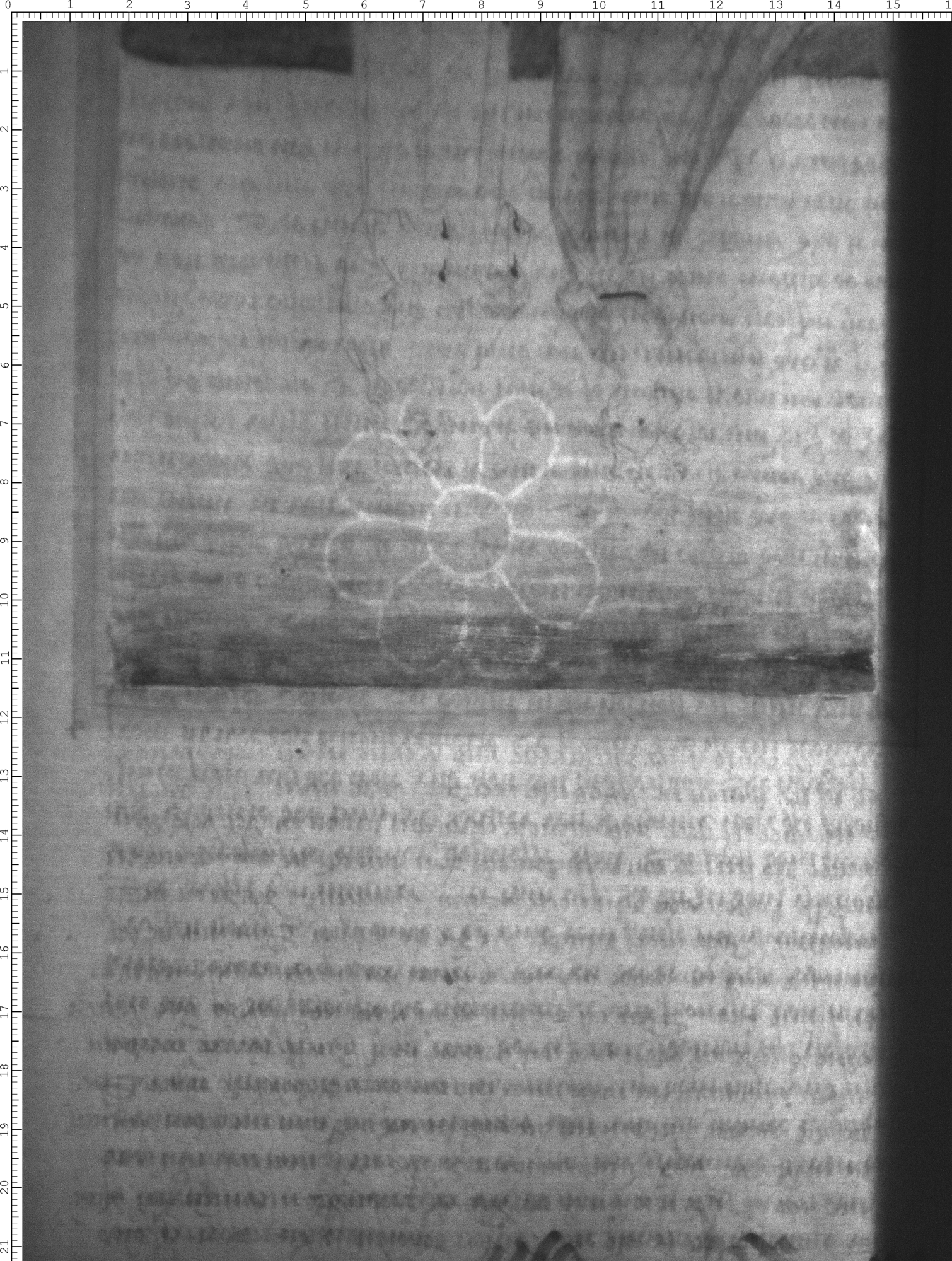 Watermark