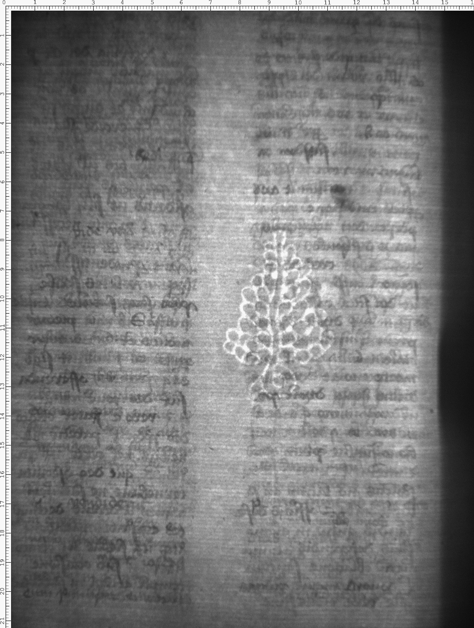 Watermark