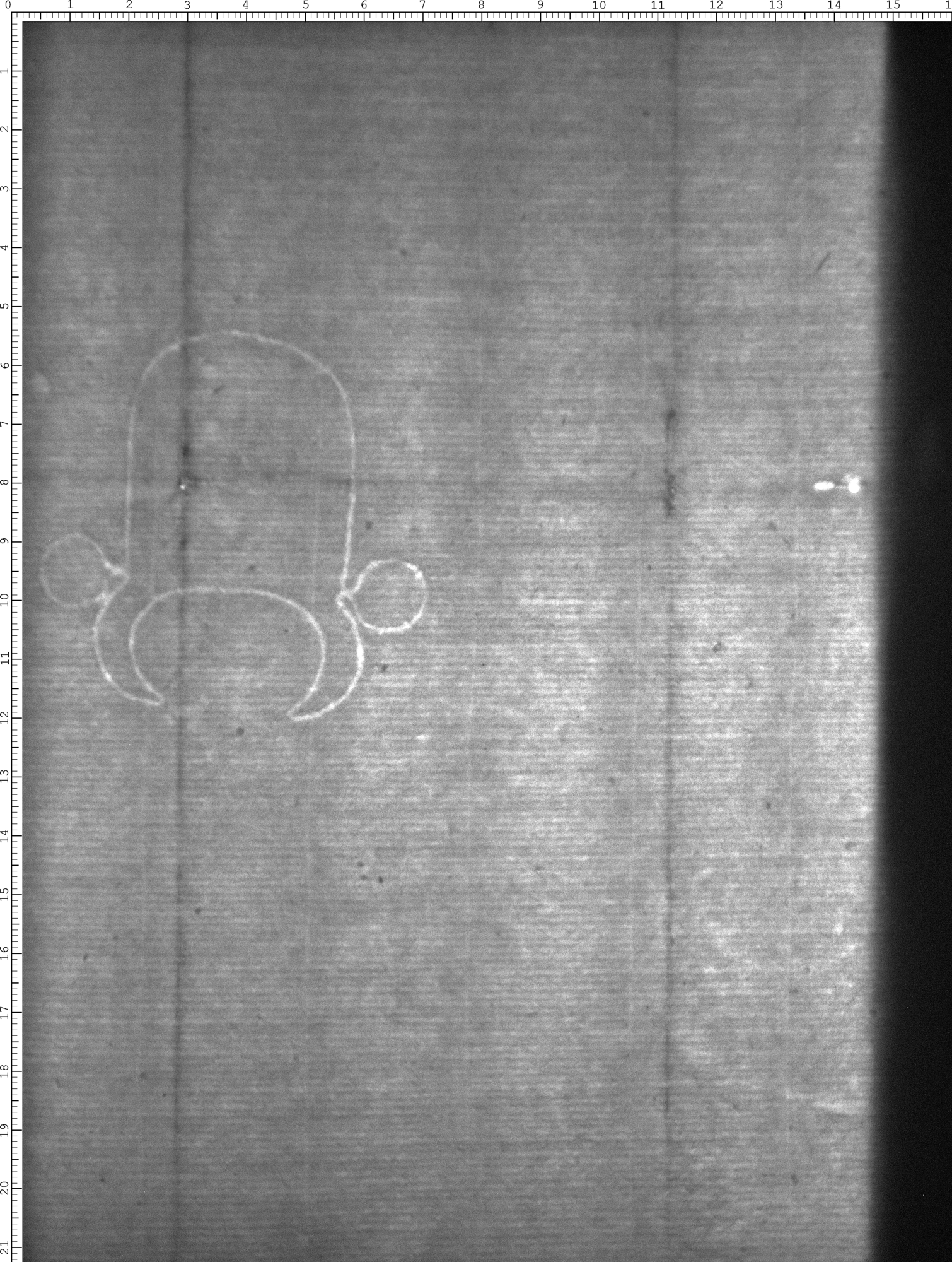 Watermark