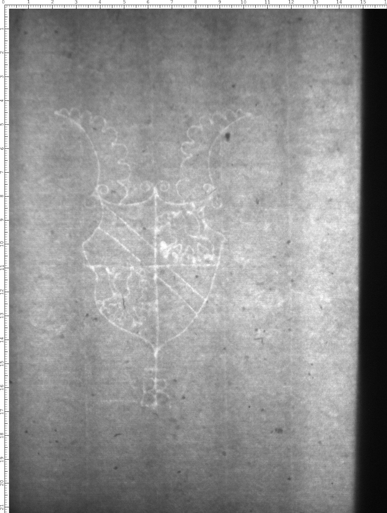 Watermark