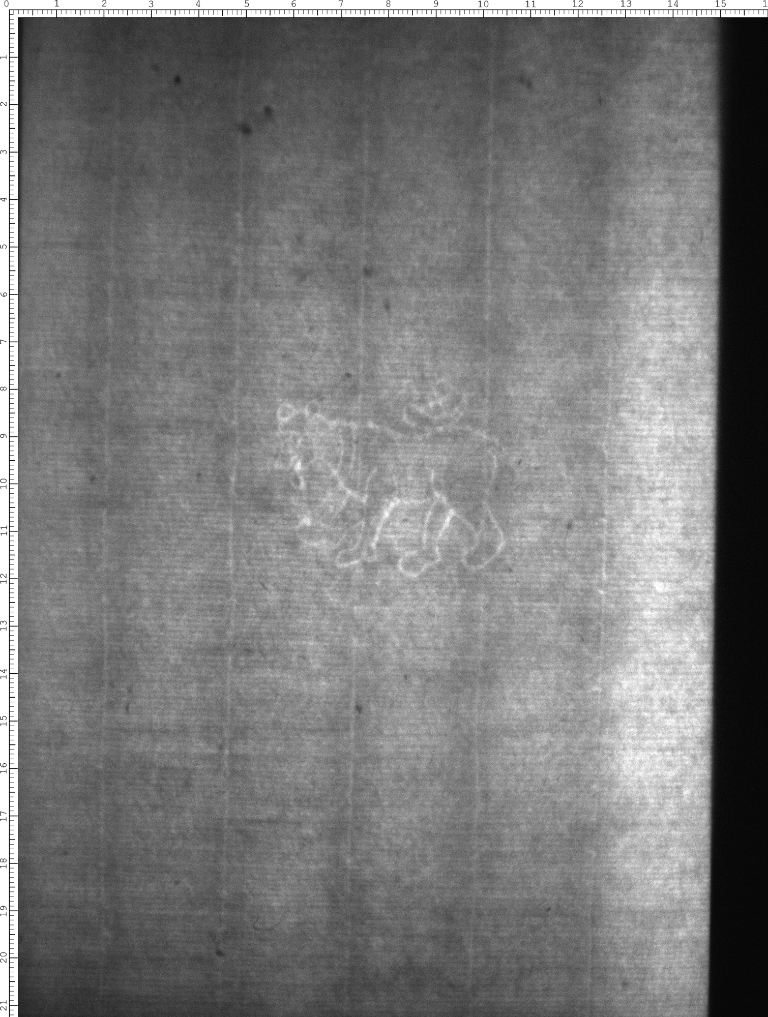 Watermark