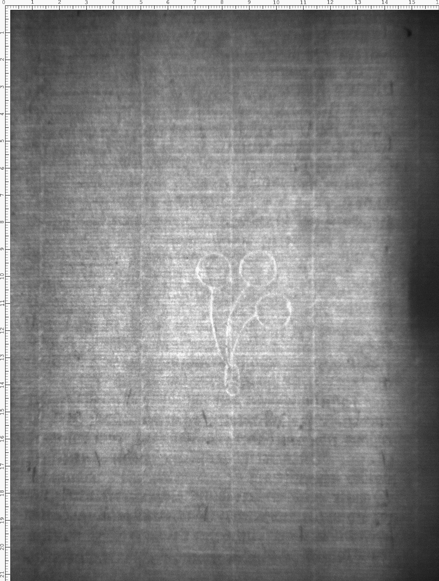 Watermark