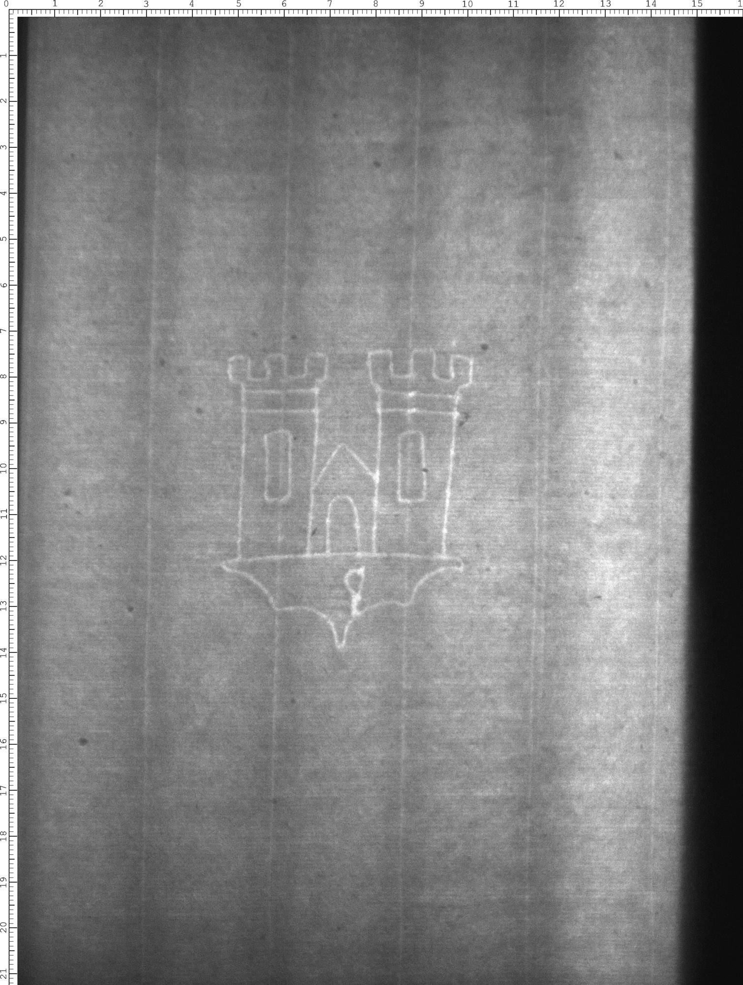 Watermark