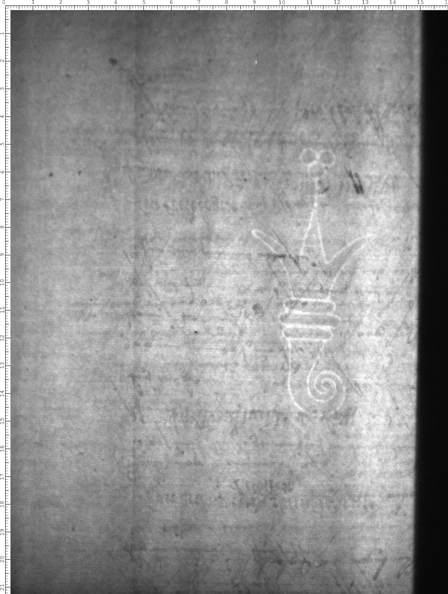 Watermark
