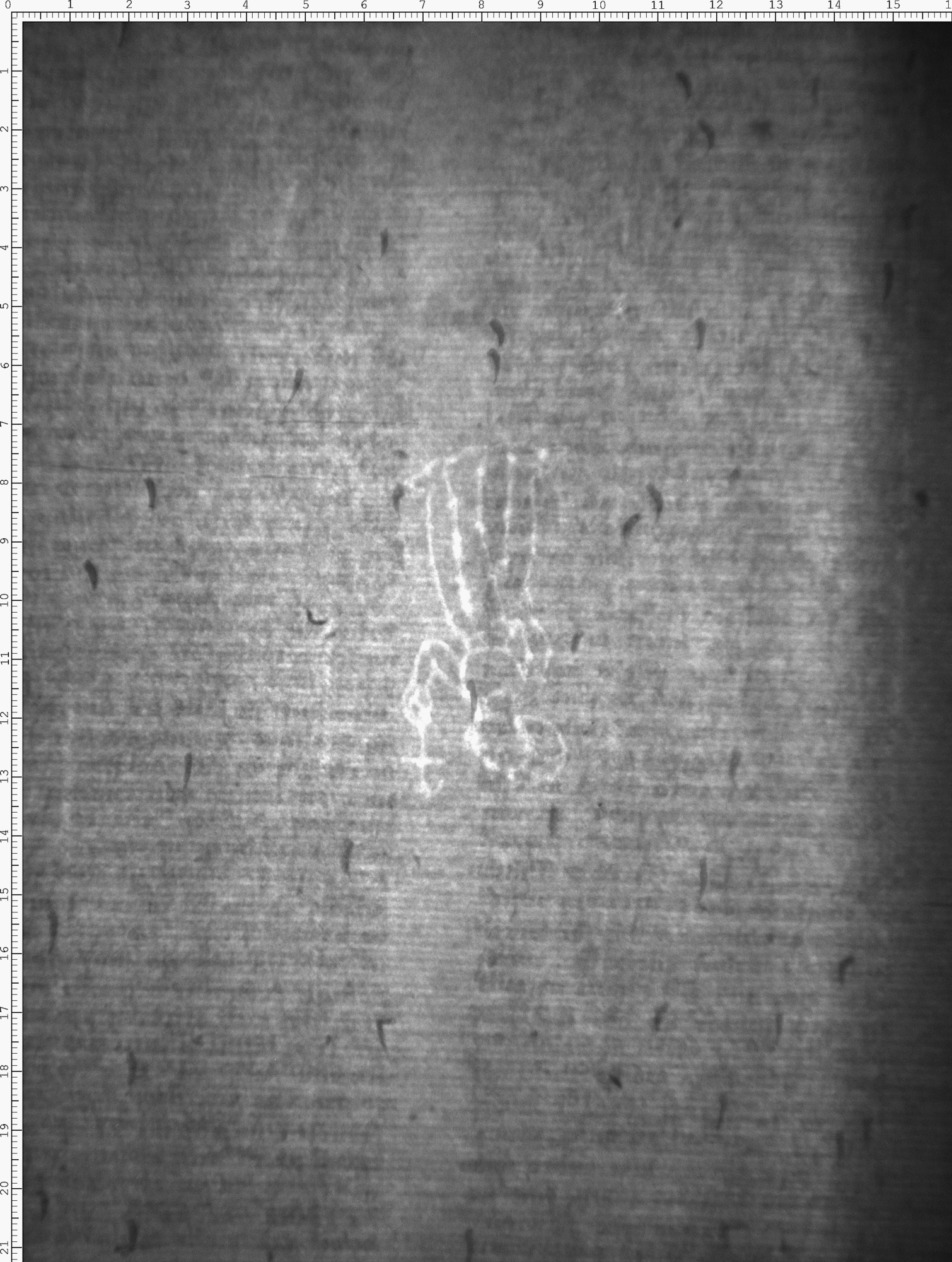 Watermark
