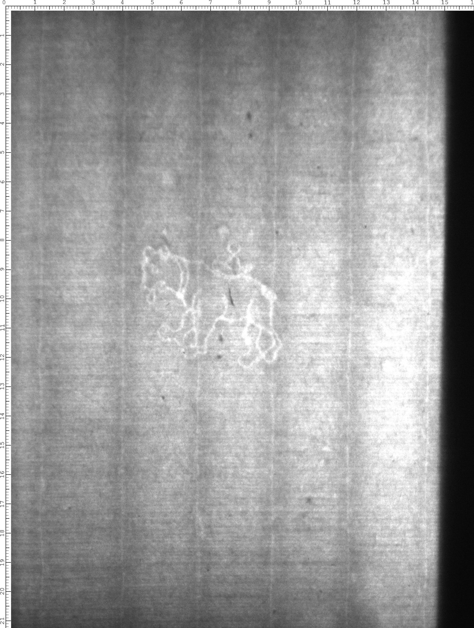 Watermark