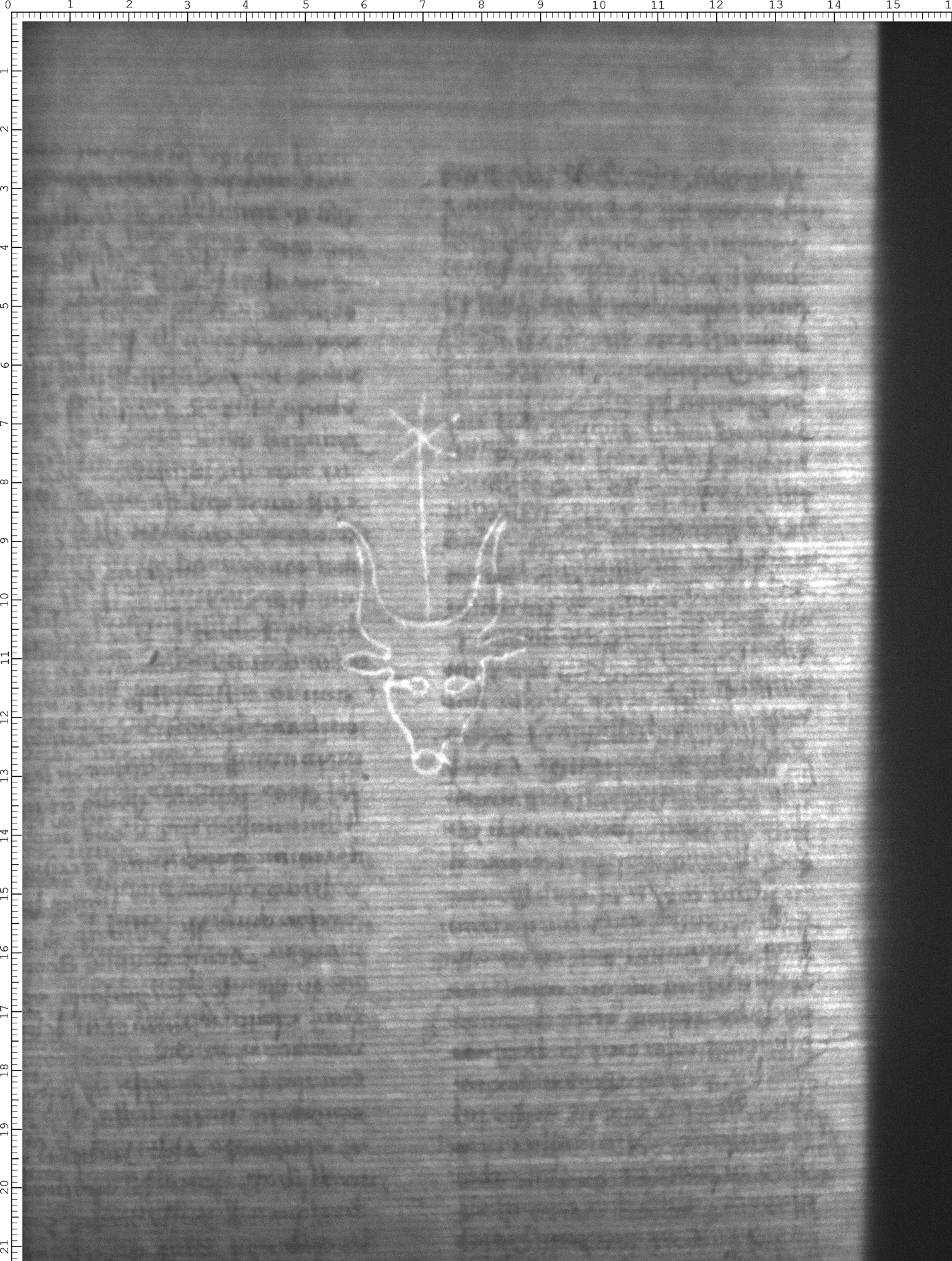 Watermark