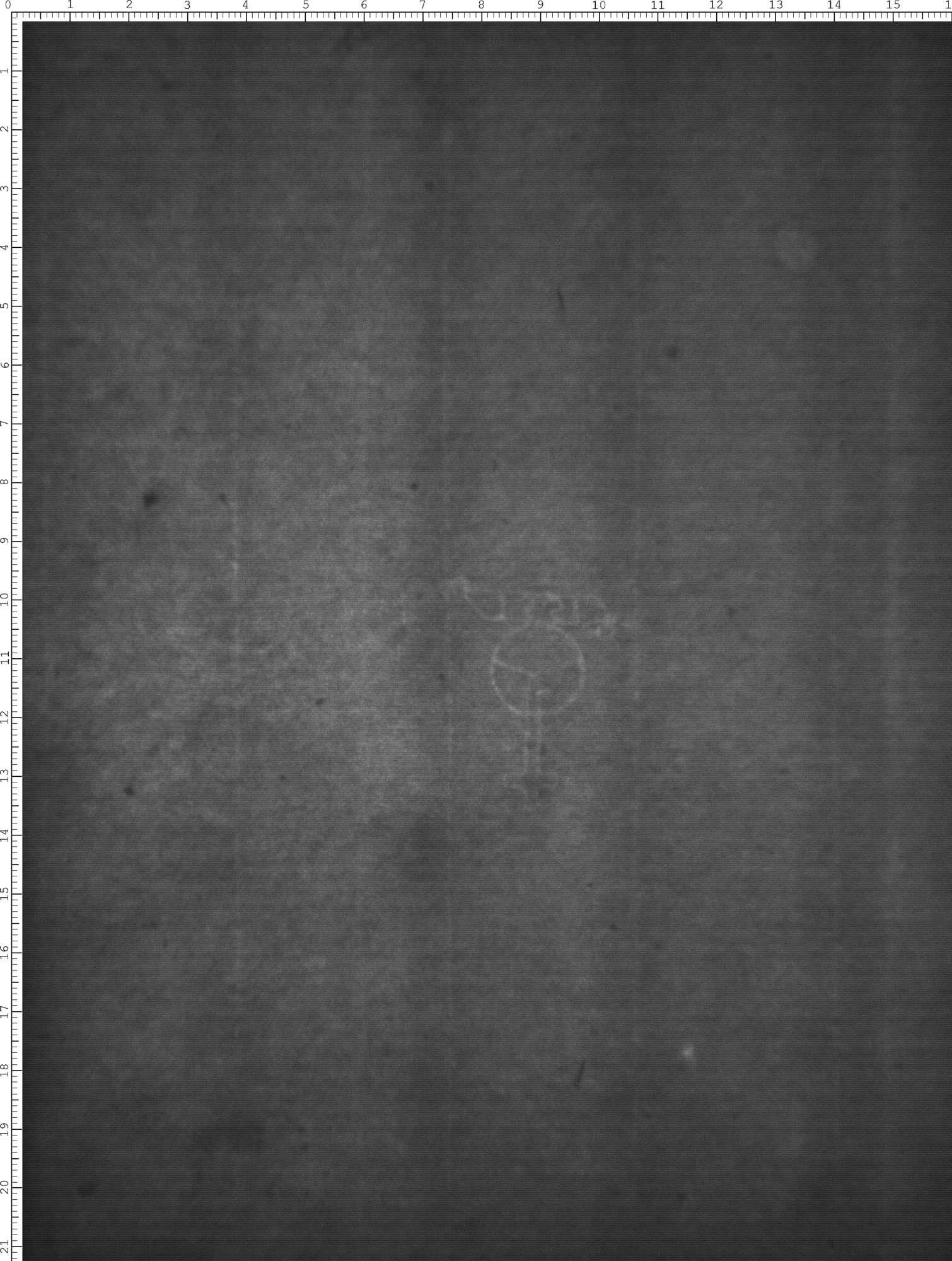 Watermark