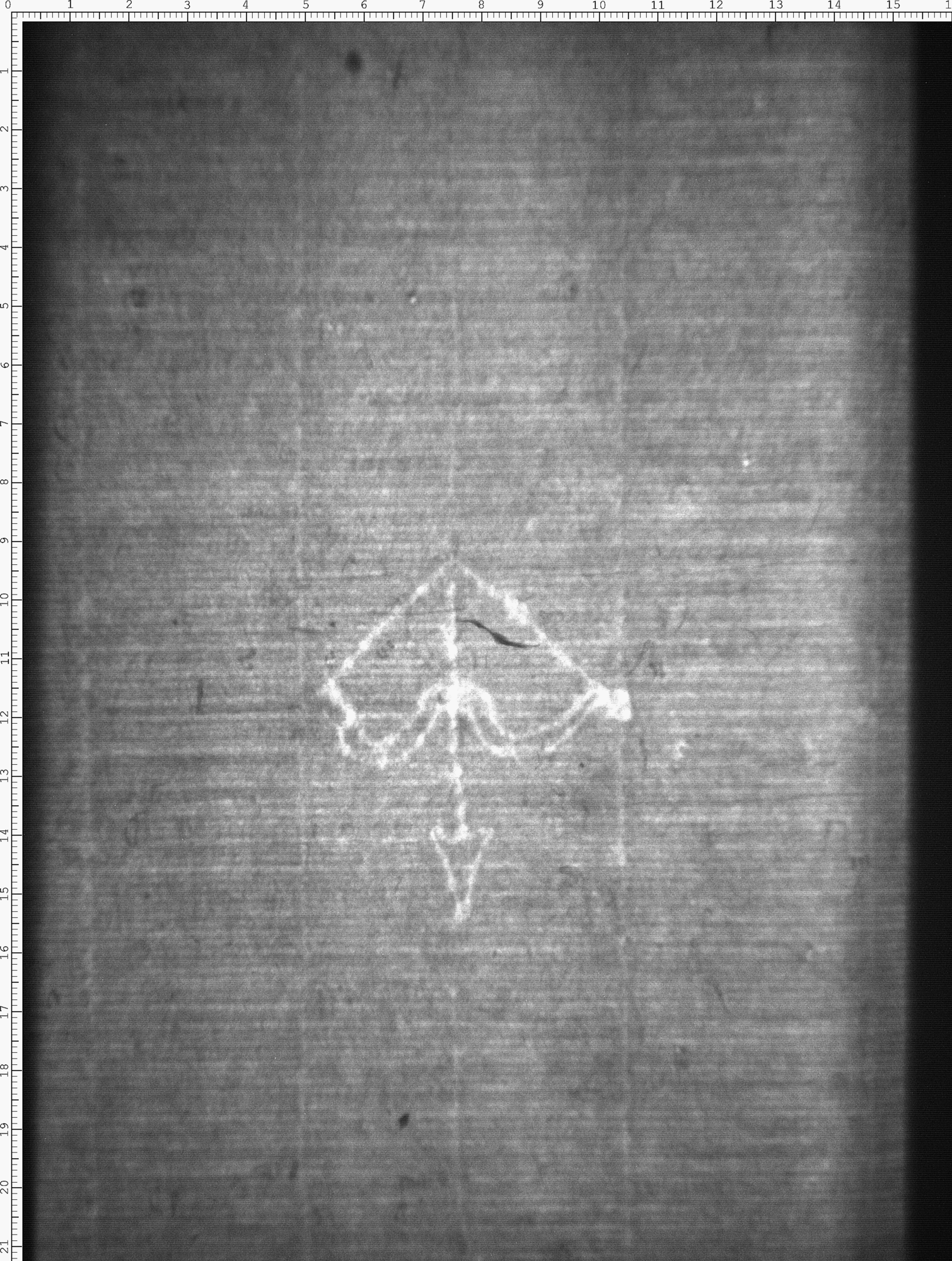 Watermark