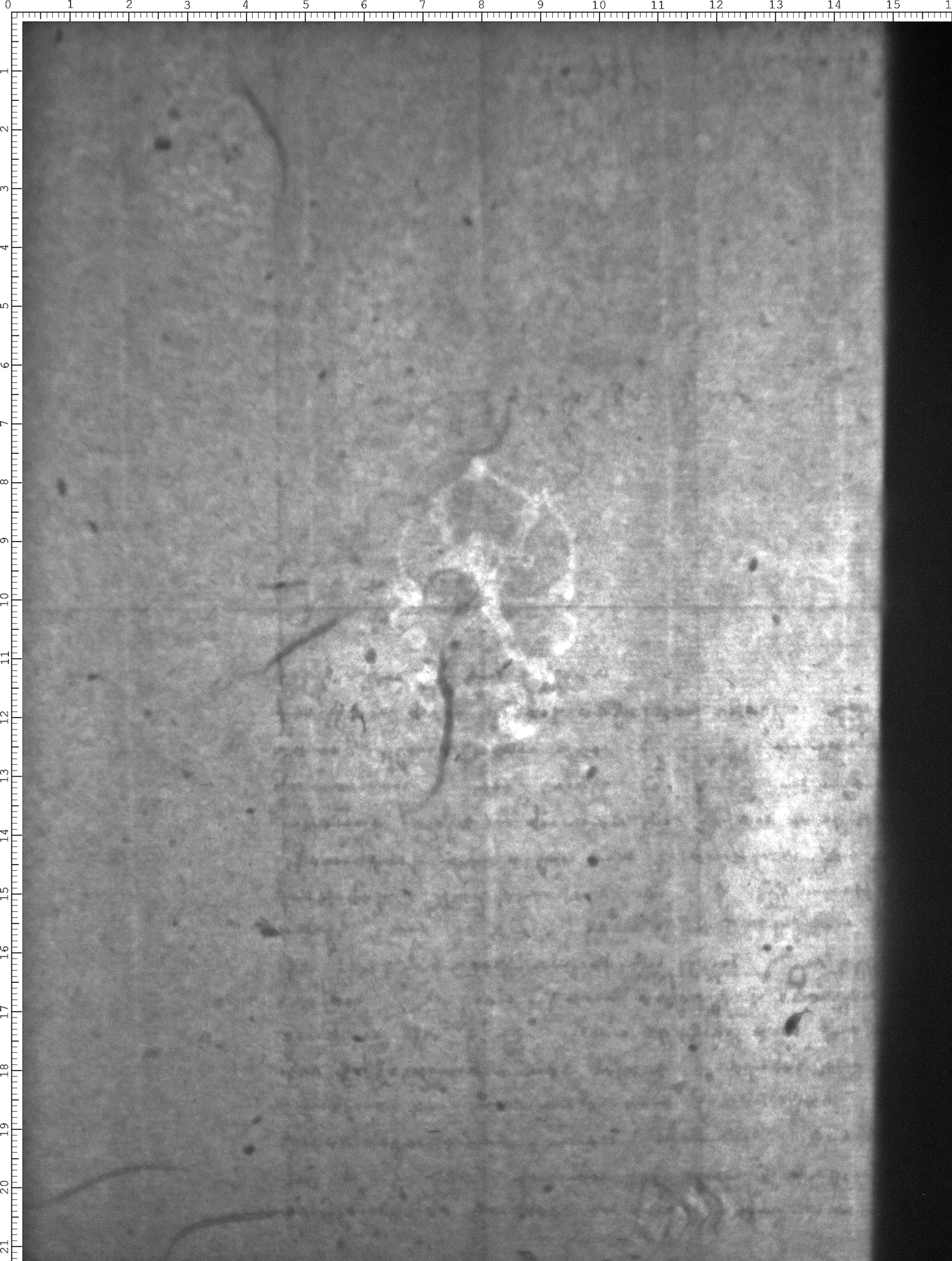 Watermark