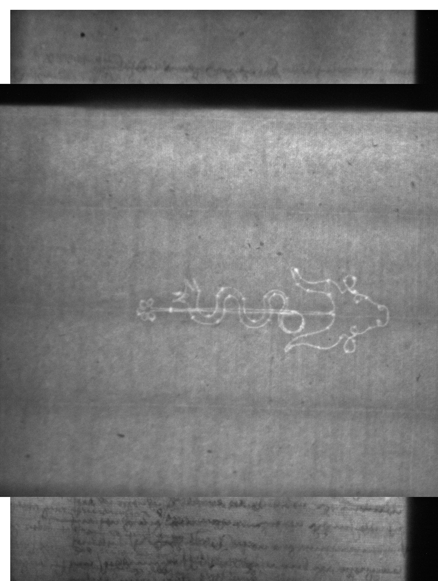 Watermark