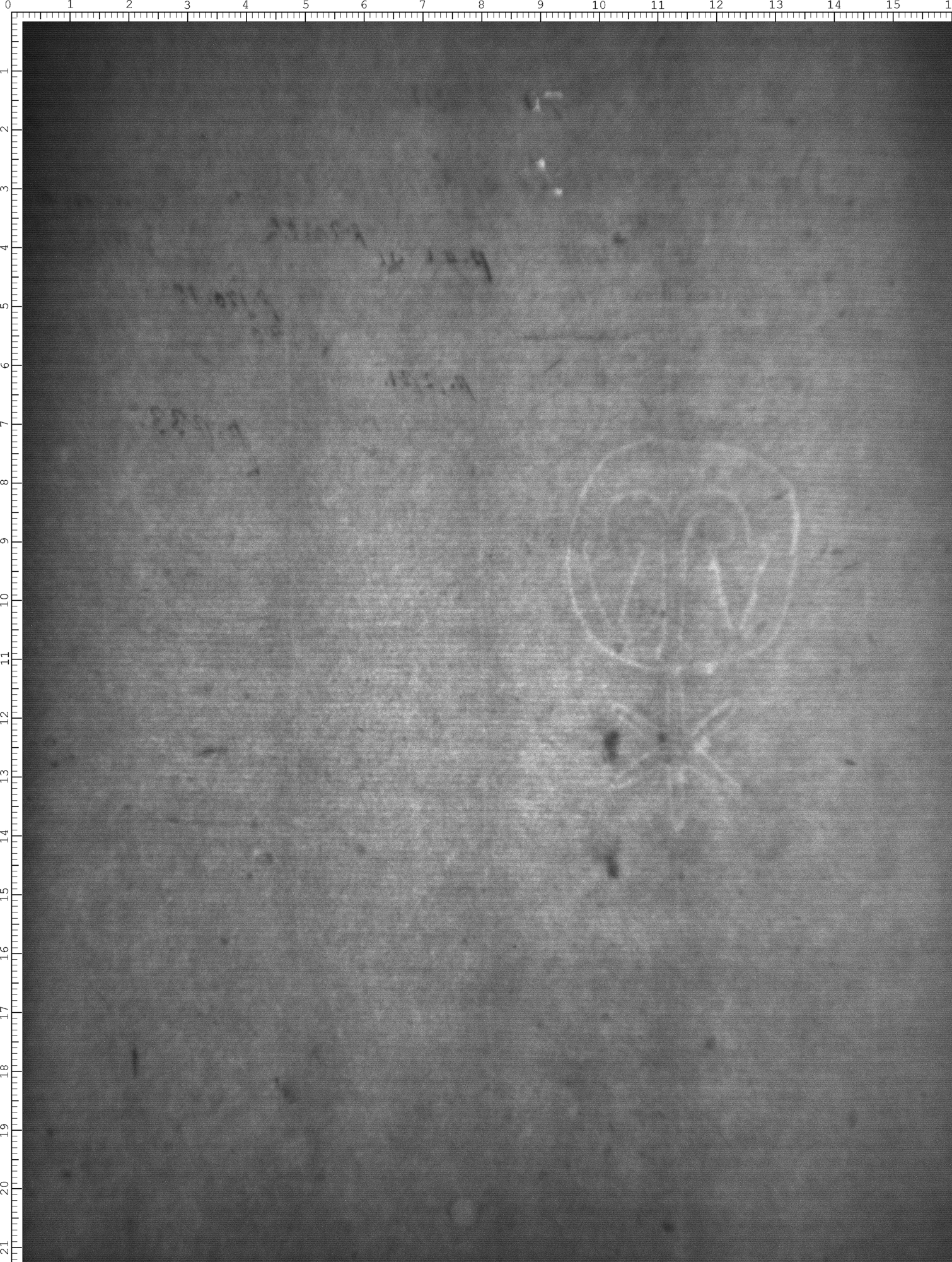 Watermark