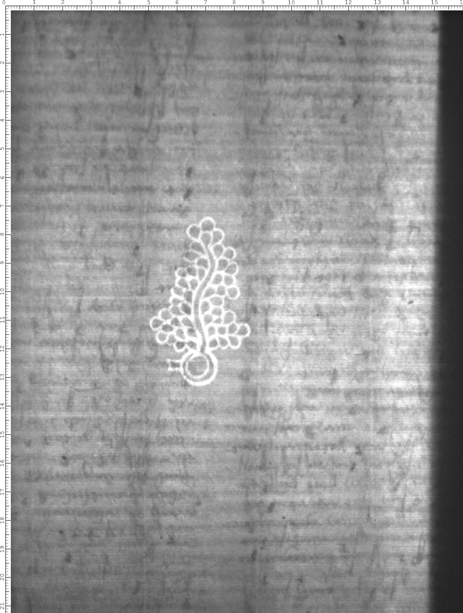 Watermark