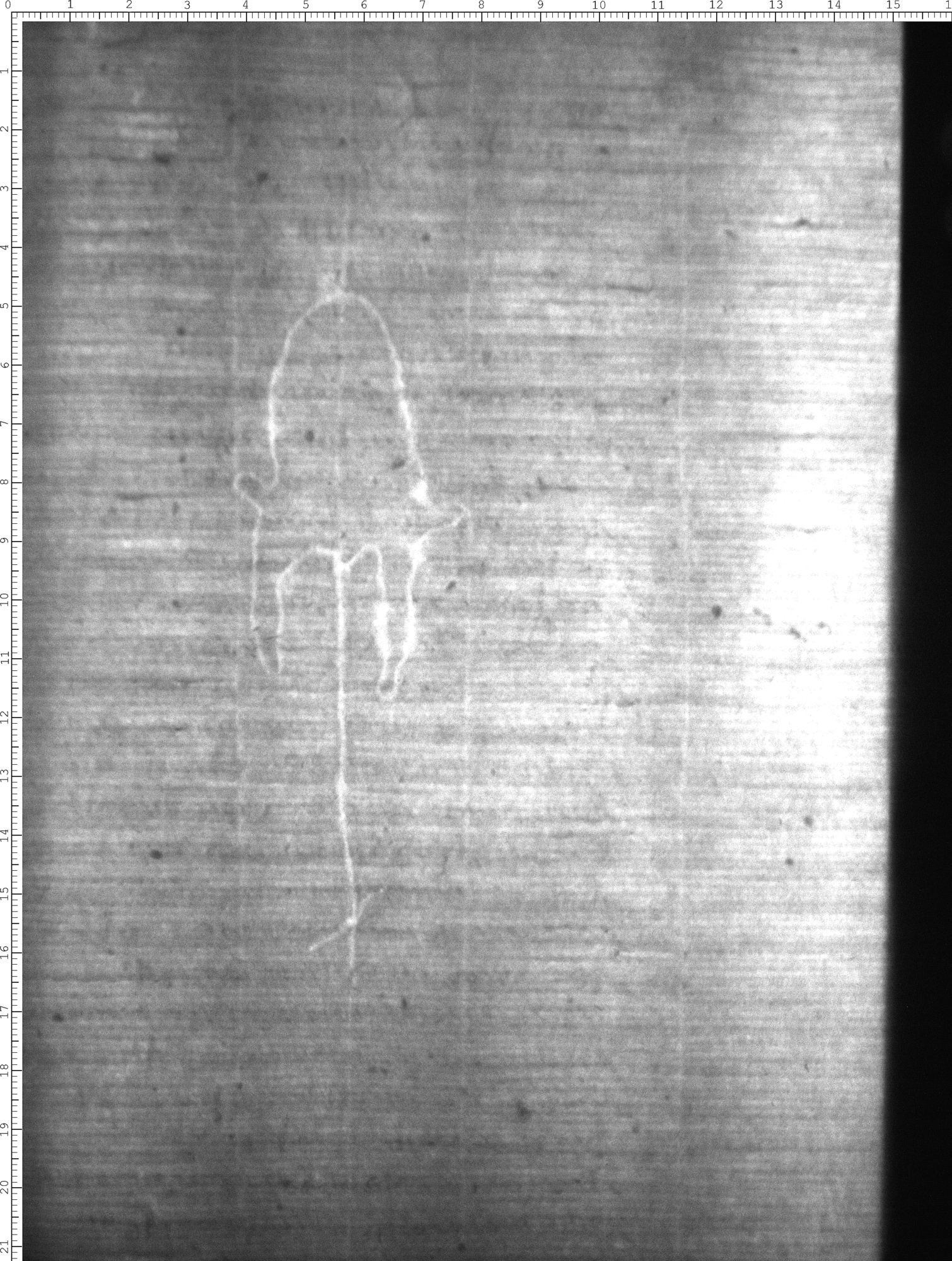 Watermark