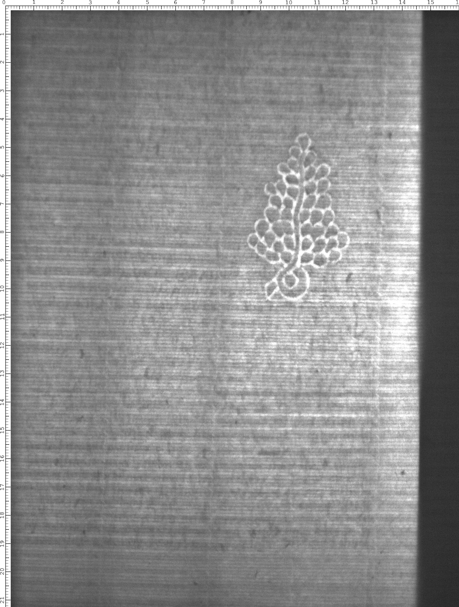 Watermark