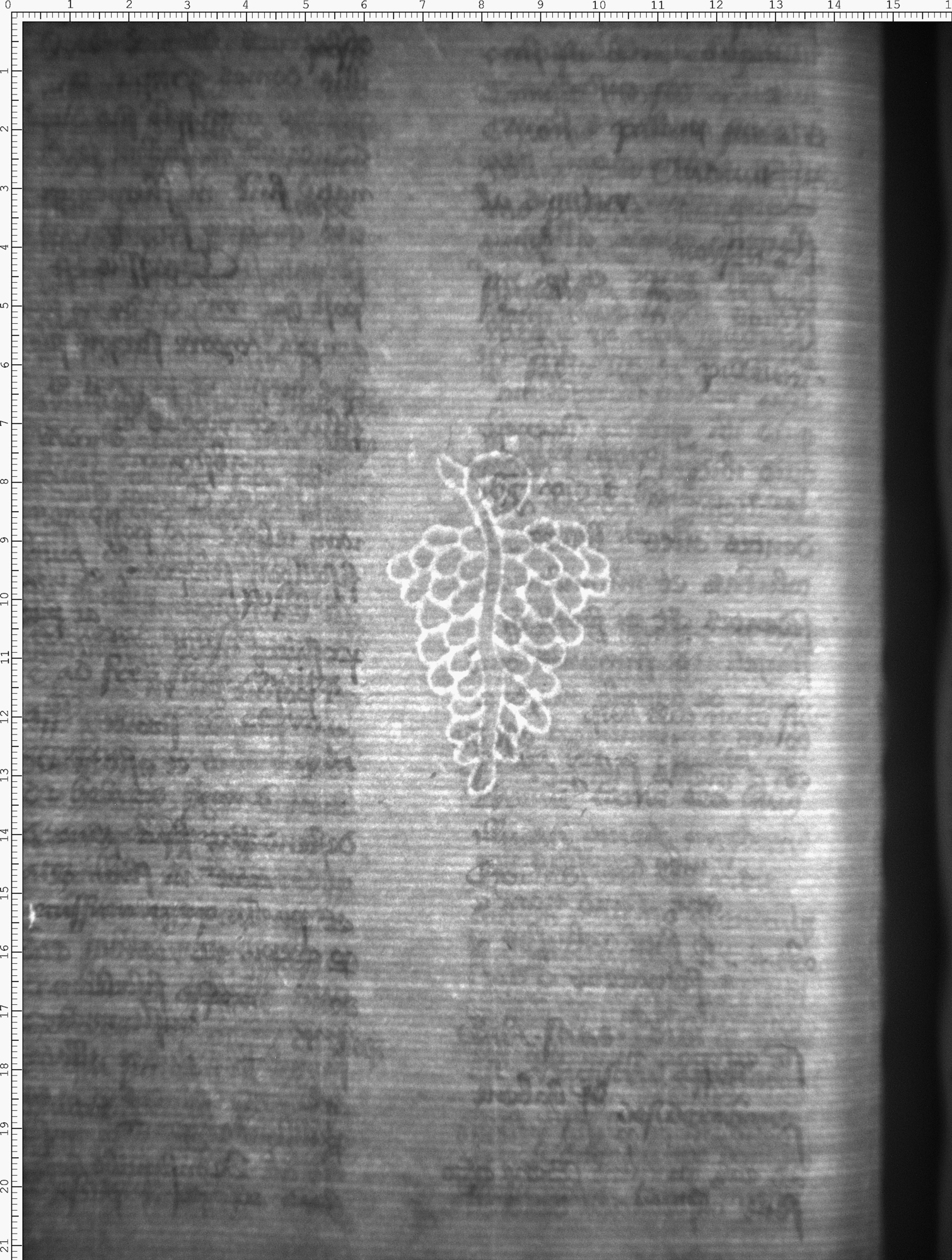 Watermark