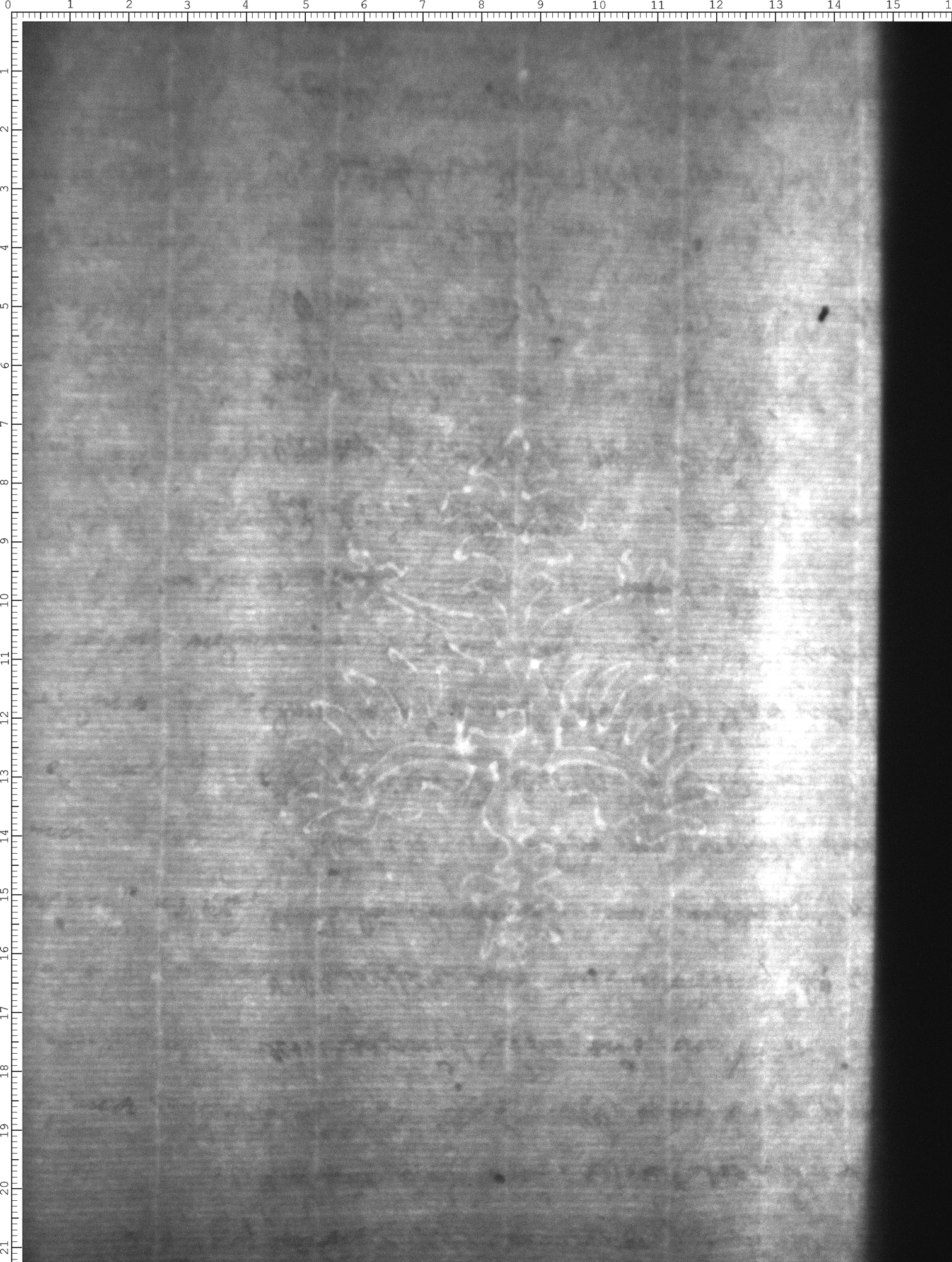 Watermark
