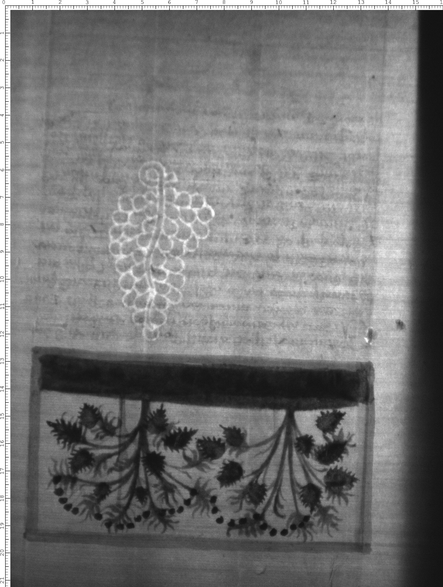 Watermark