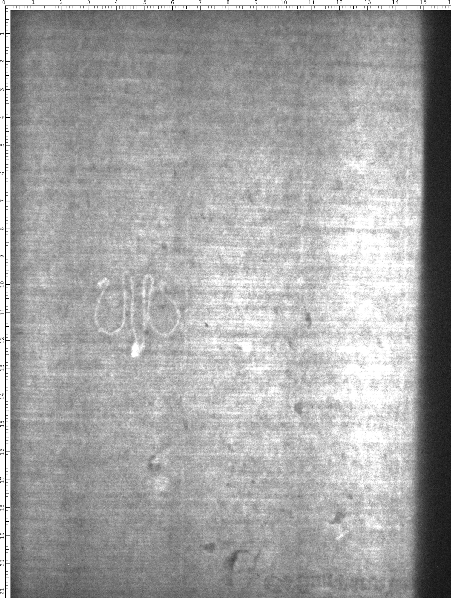 Watermark