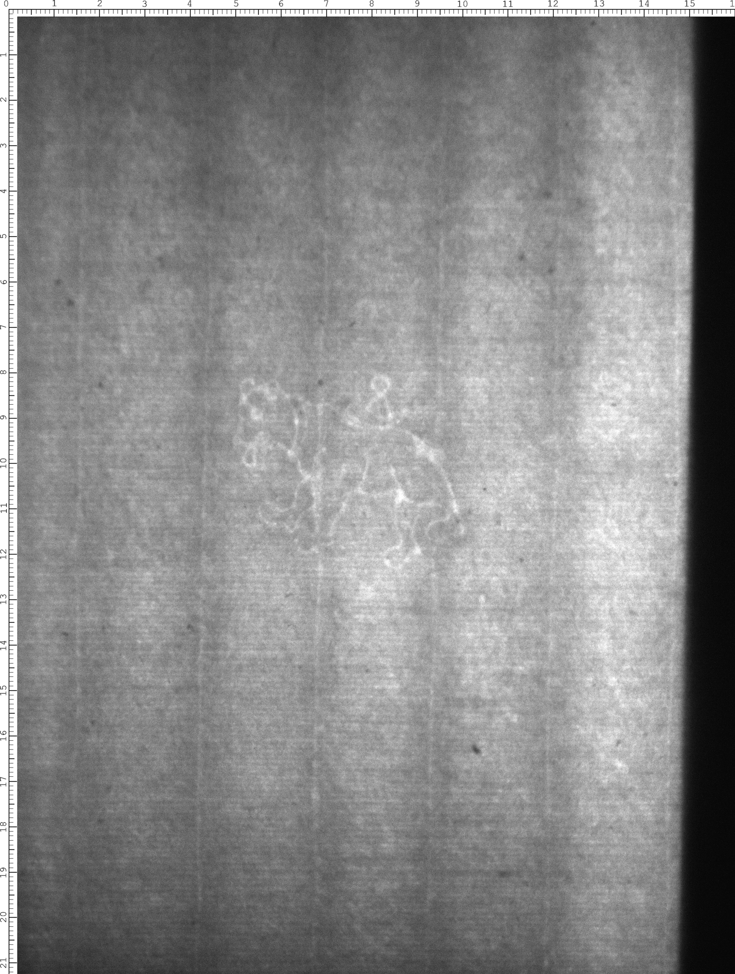 Watermark
