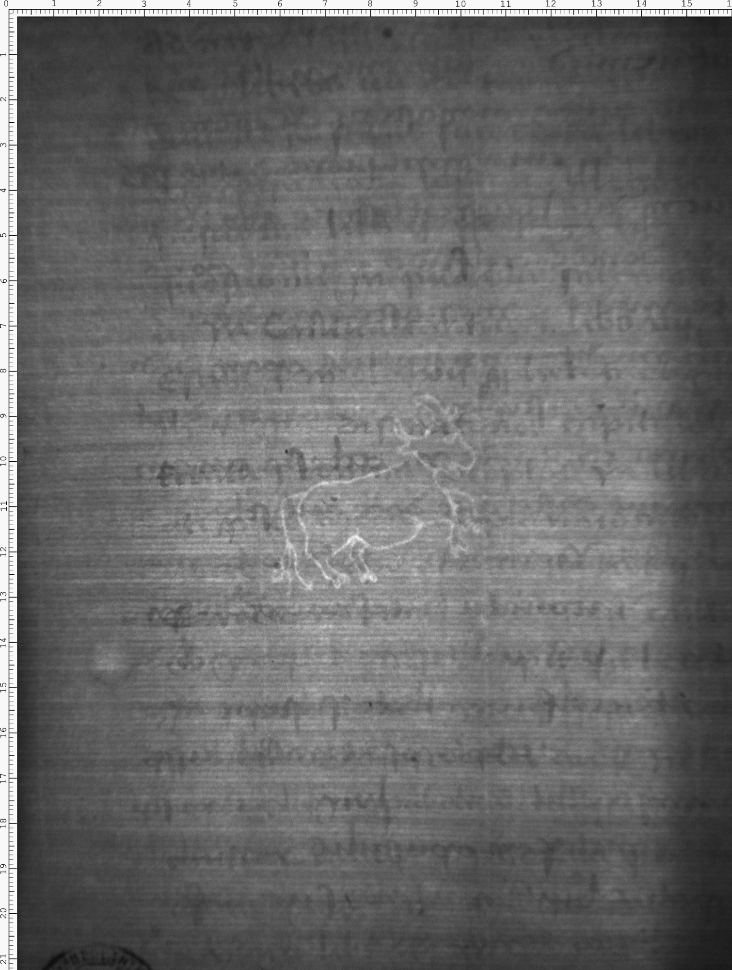 Watermark