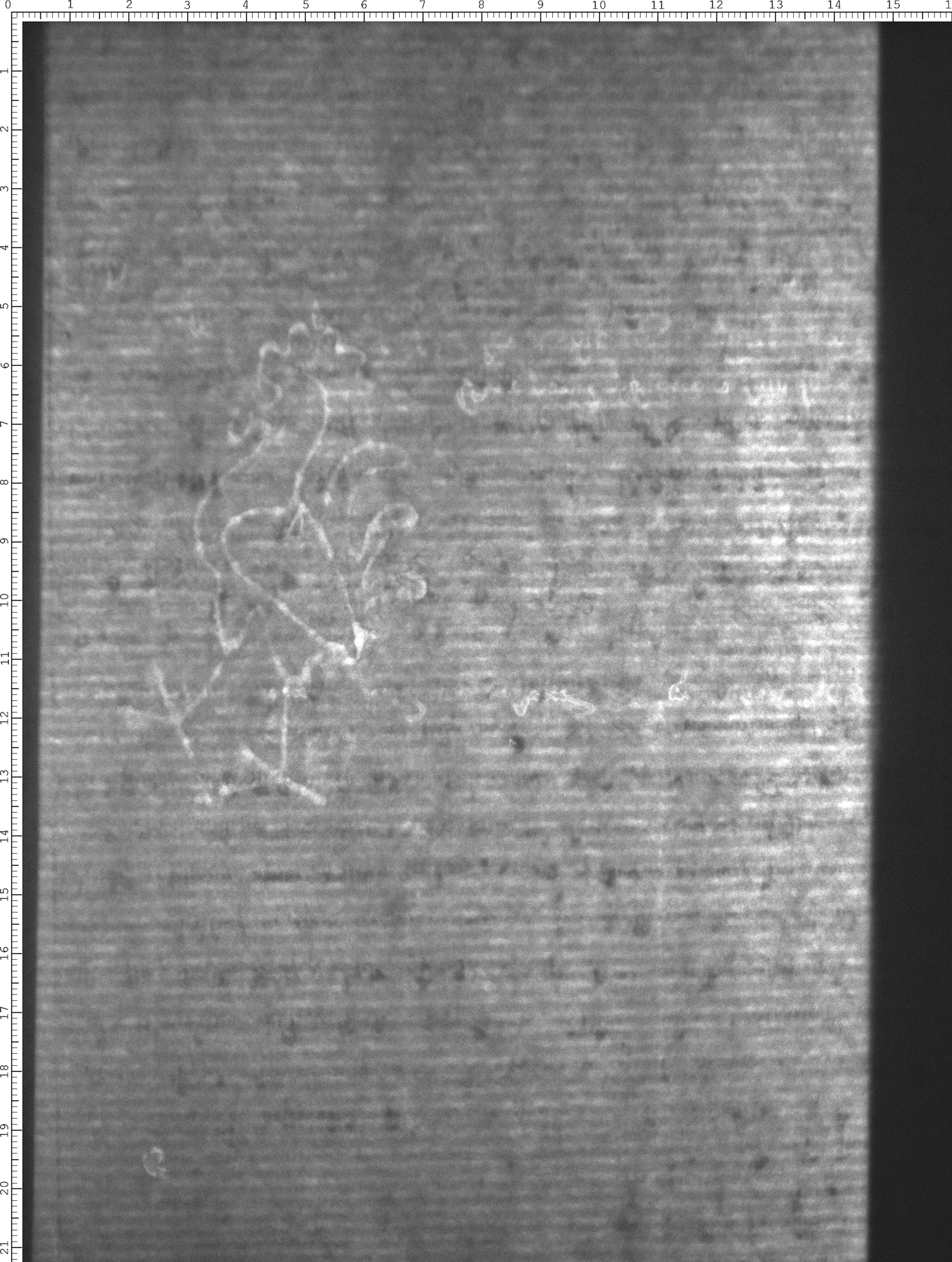 Watermark