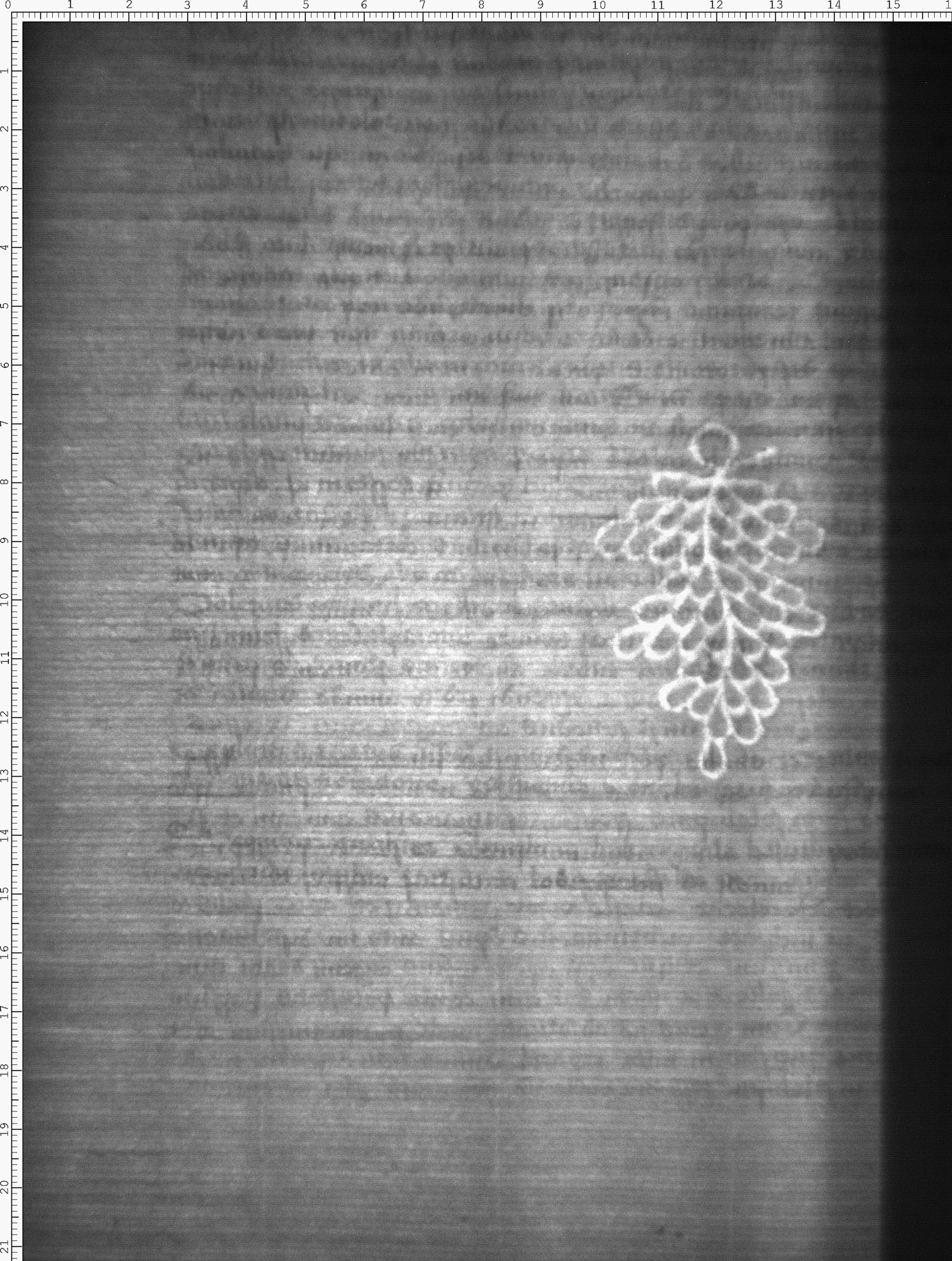 Watermark