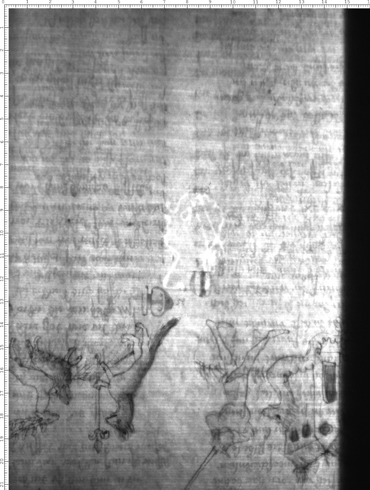 Watermark