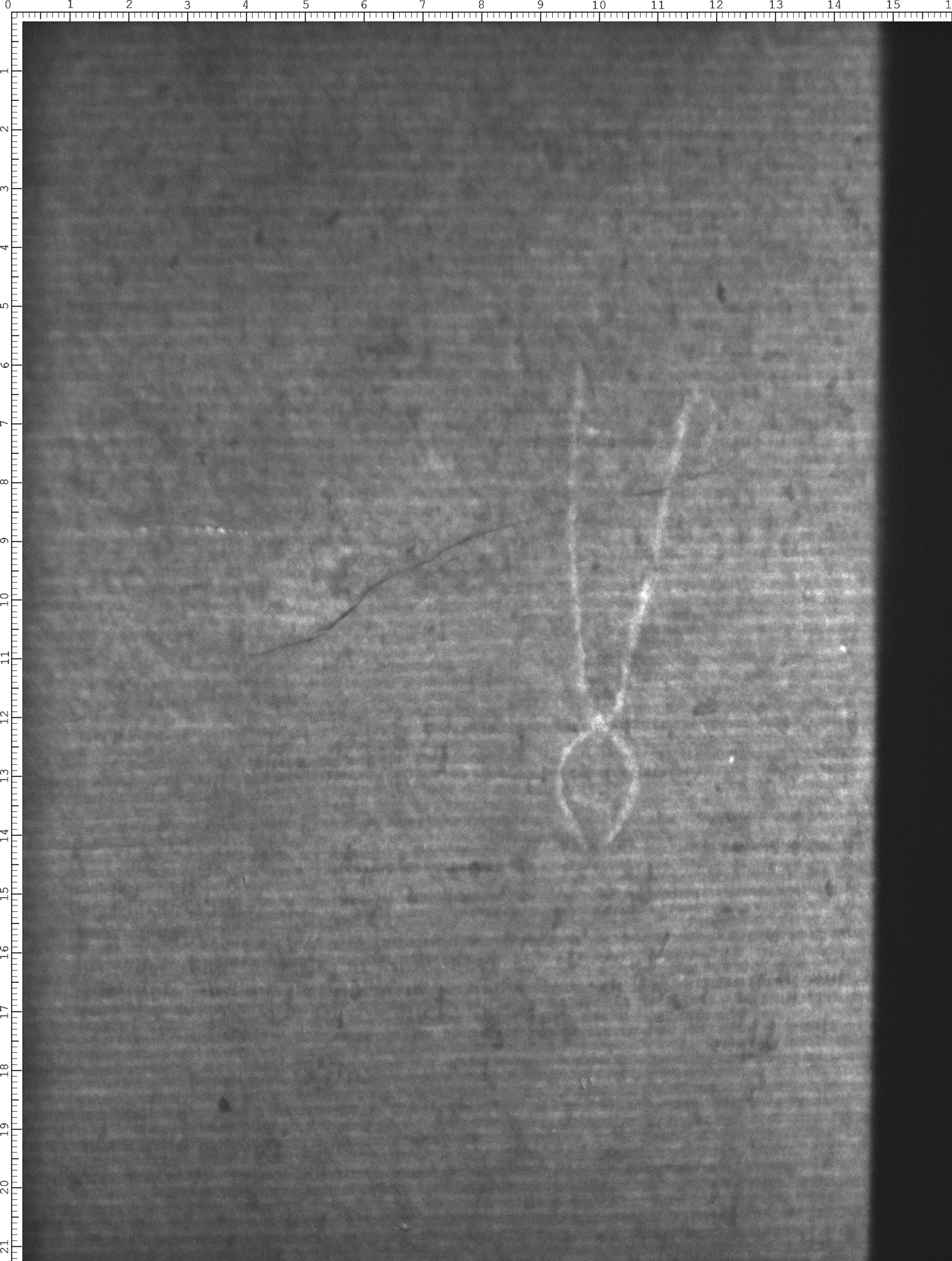 Watermark