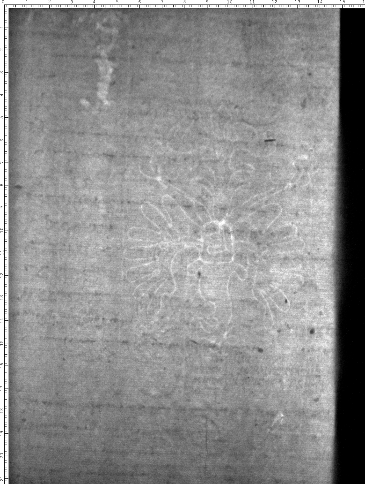 Watermark