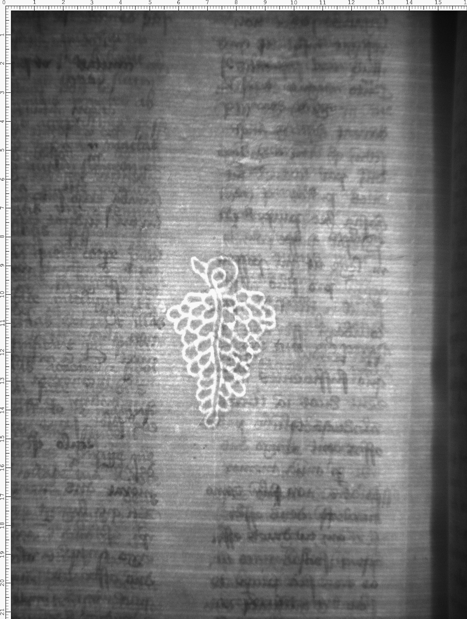 Watermark