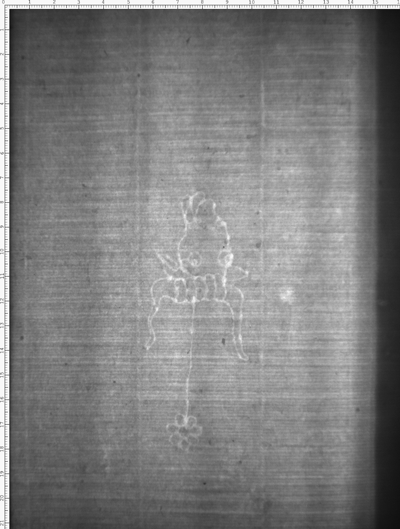 Watermark