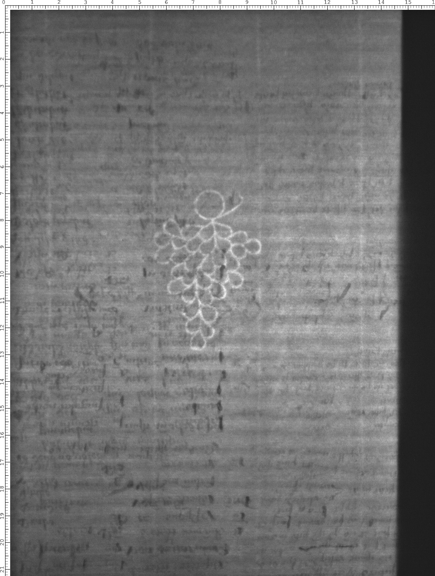 Watermark