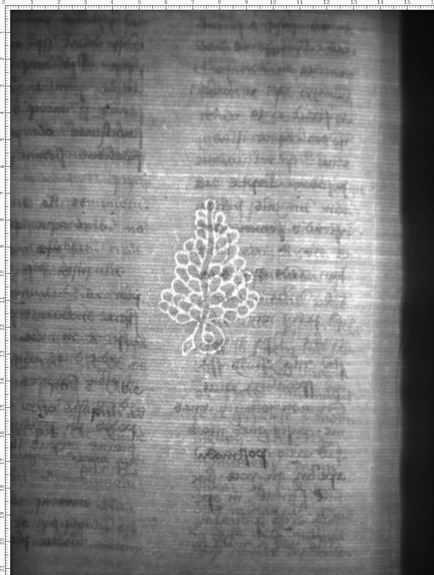 Watermark