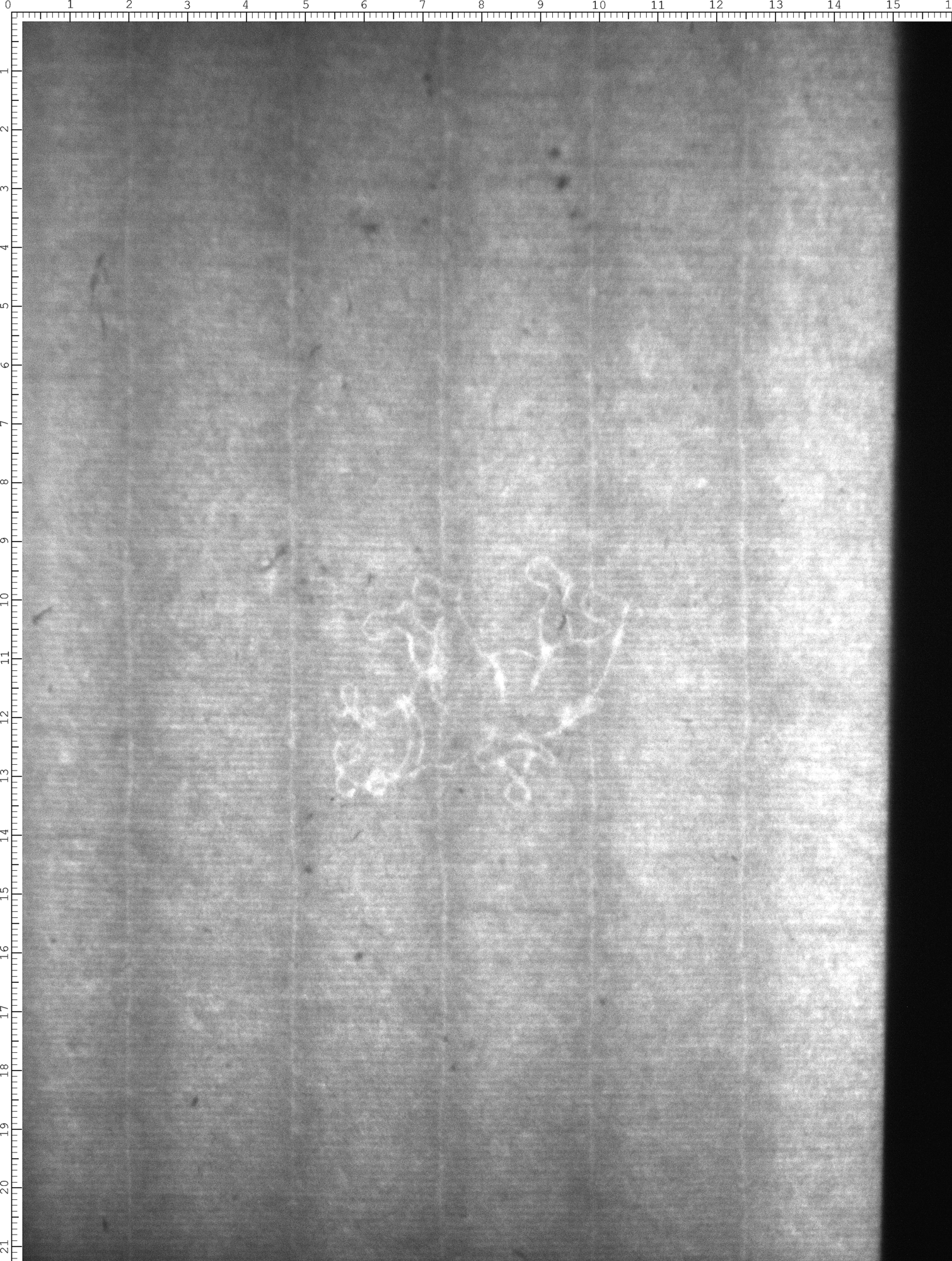 Watermark