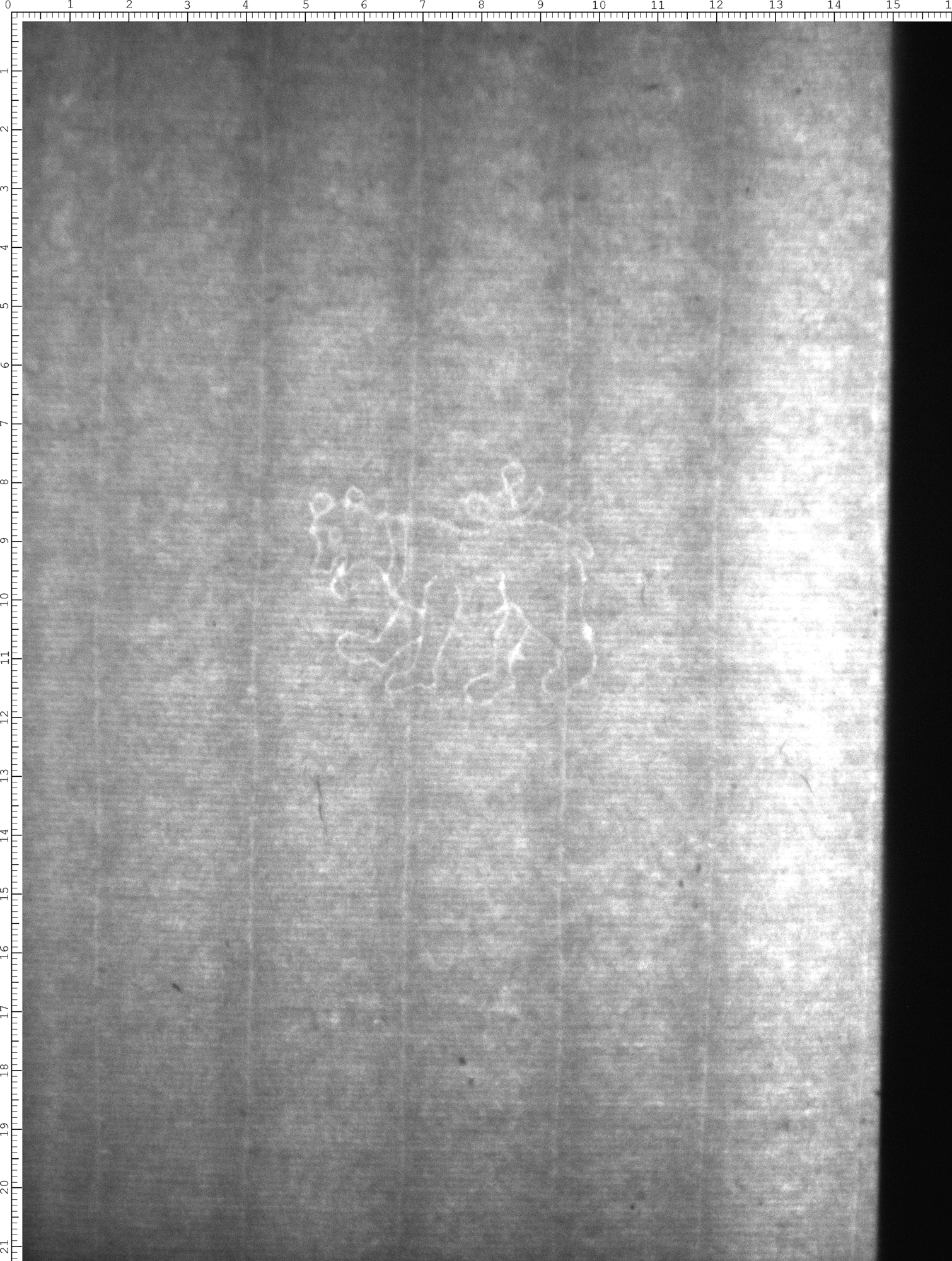 Watermark