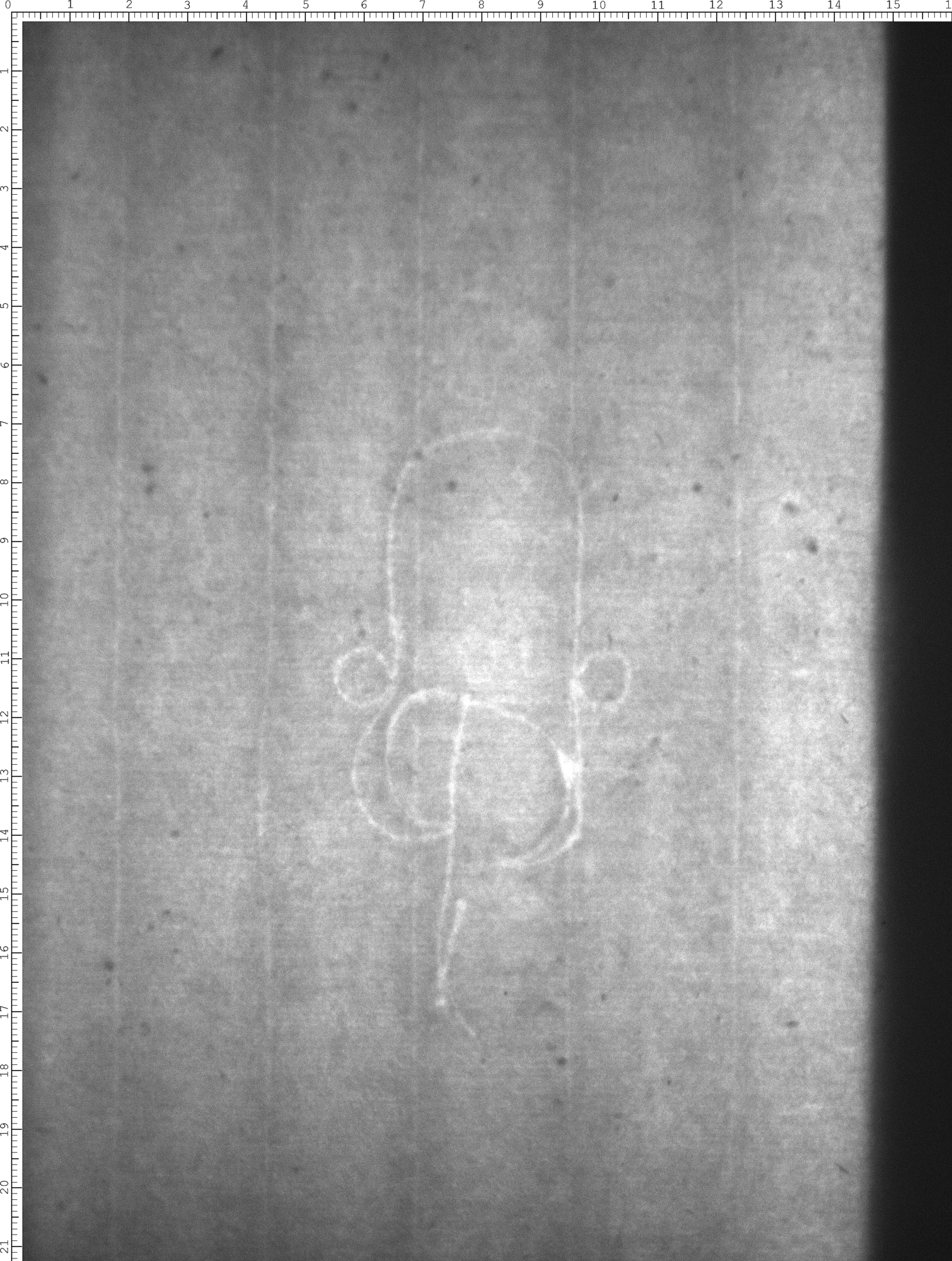 Watermark