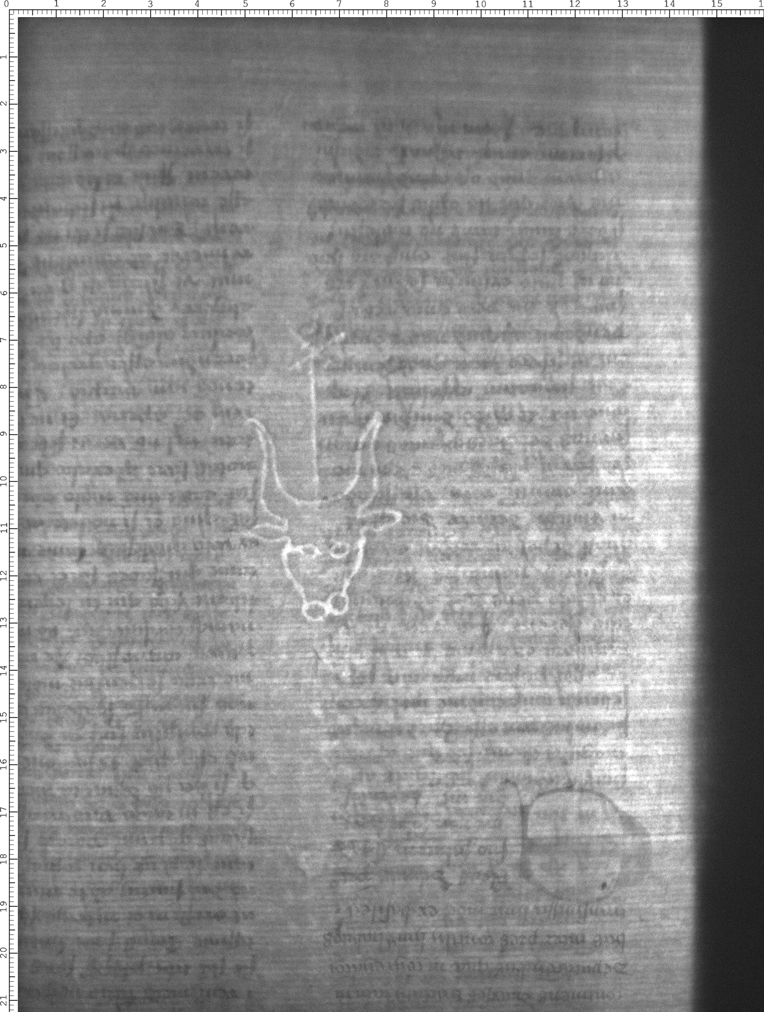 Watermark