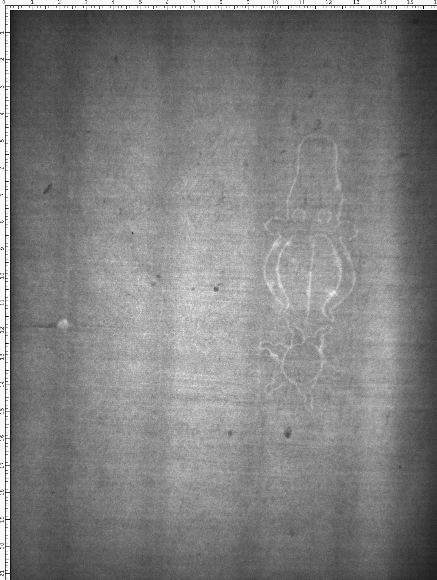 Watermark