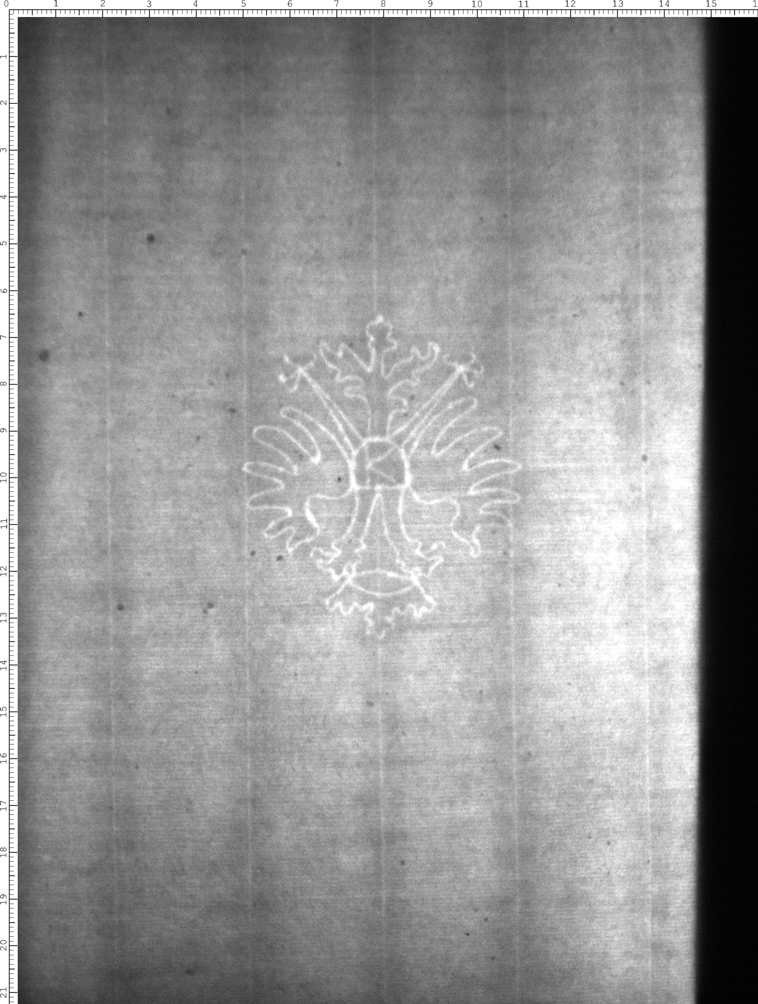Watermark