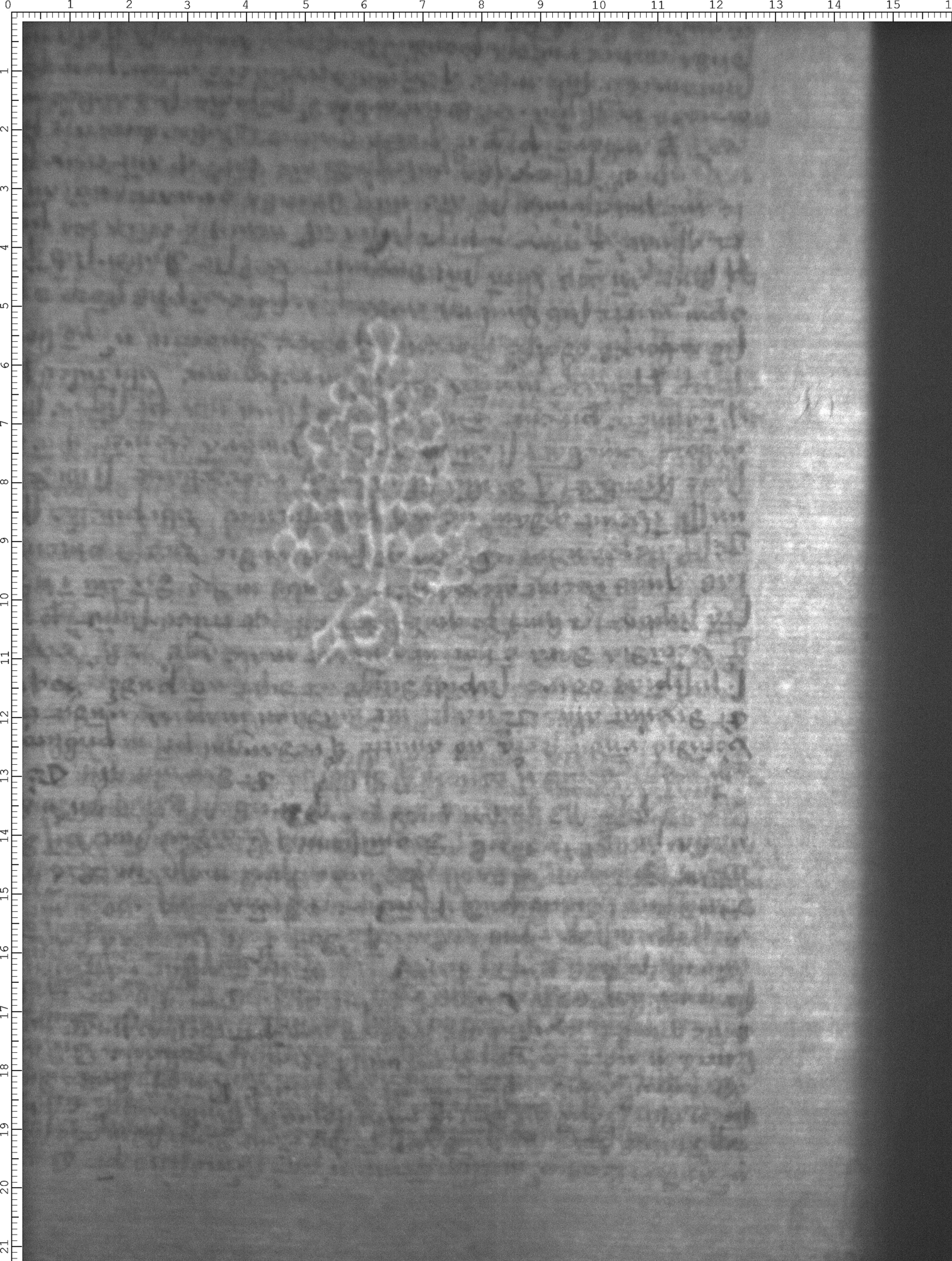 Watermark