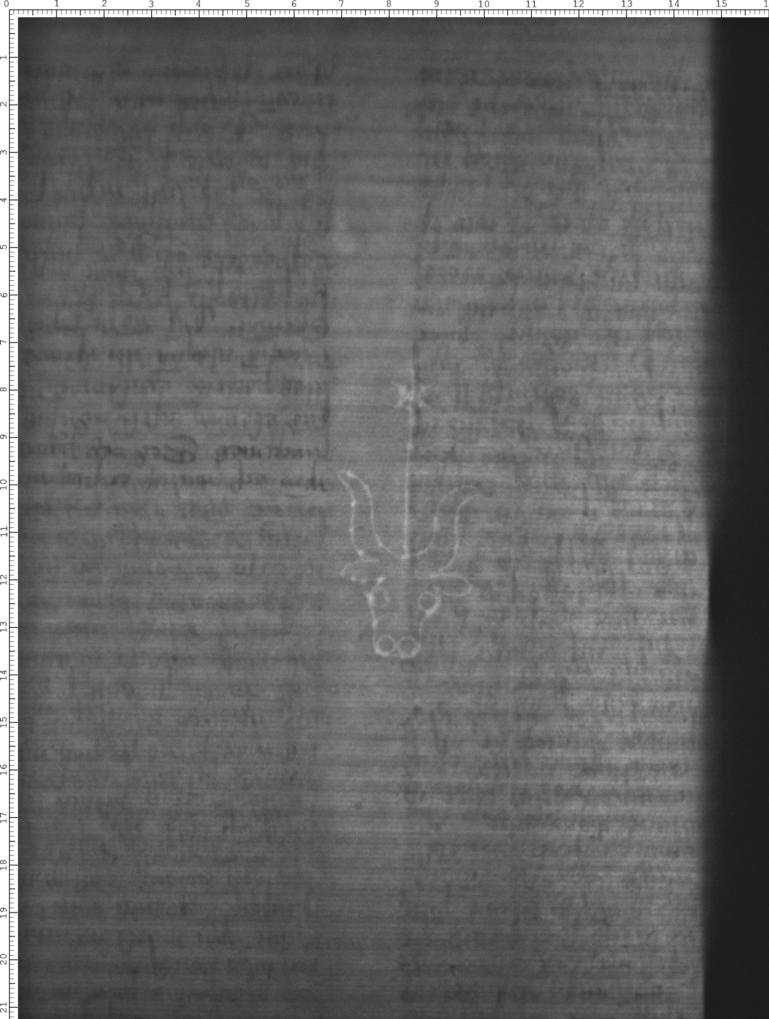 Watermark