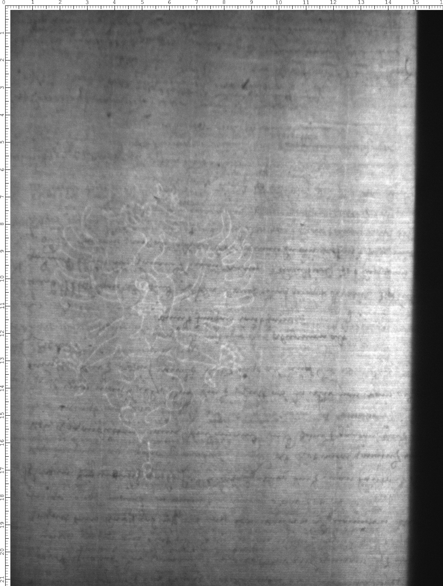 Watermark