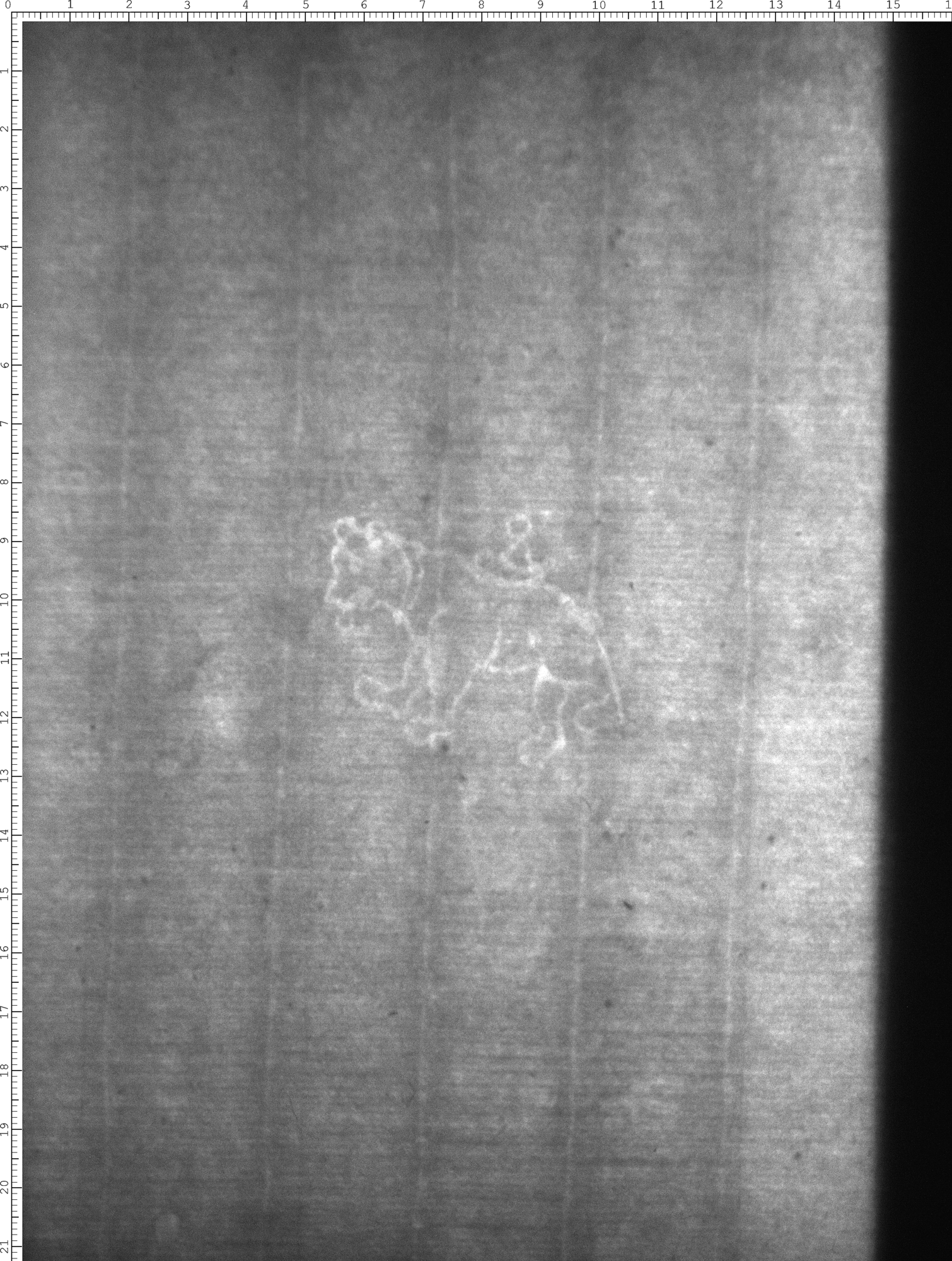 Watermark